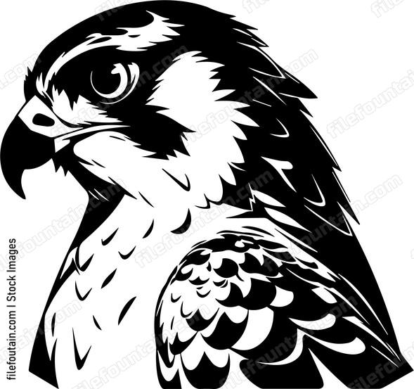 falcon