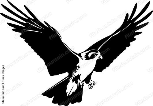 falcon