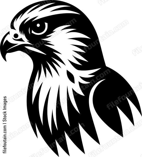 Falcon