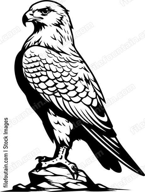 falcon