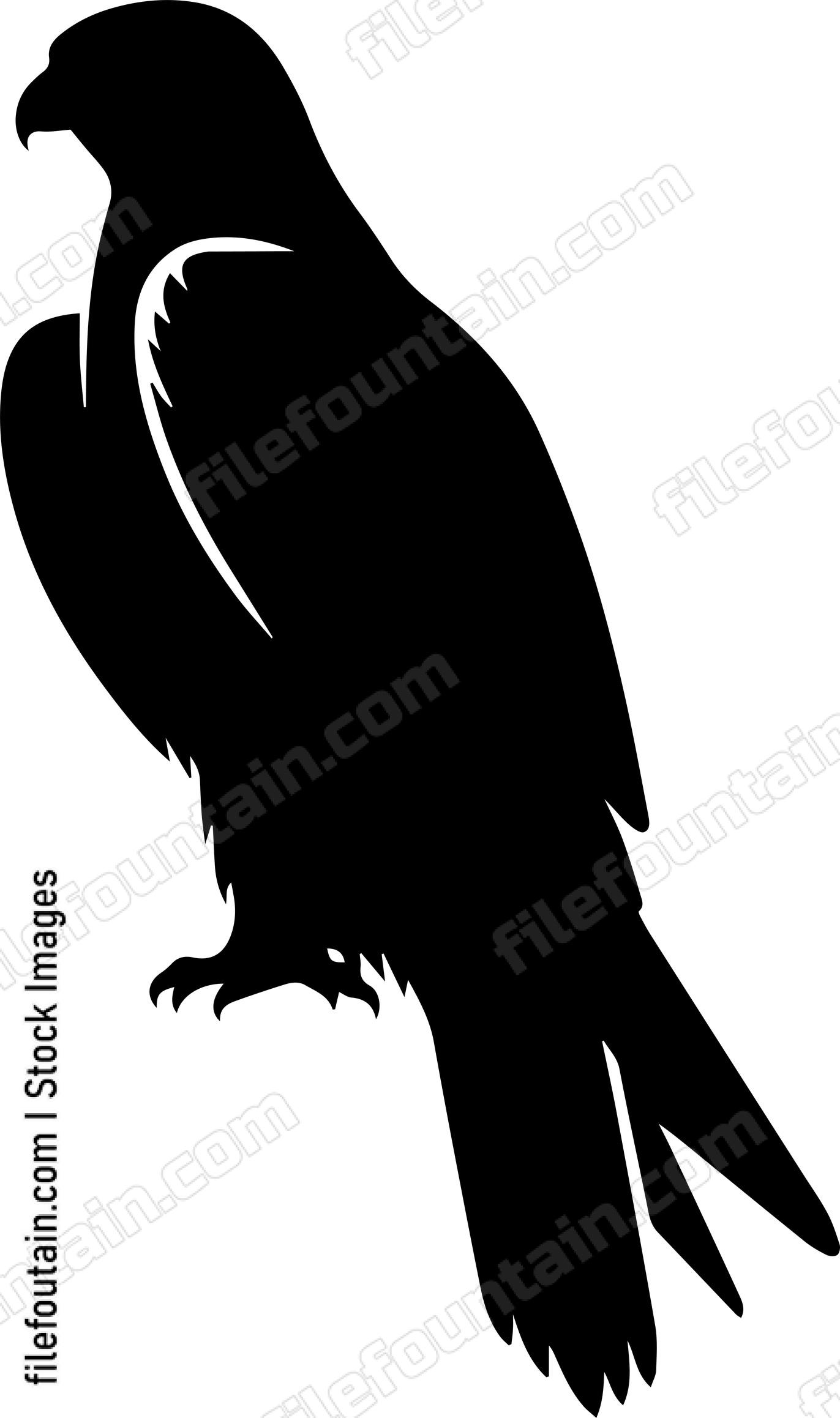 Falcon