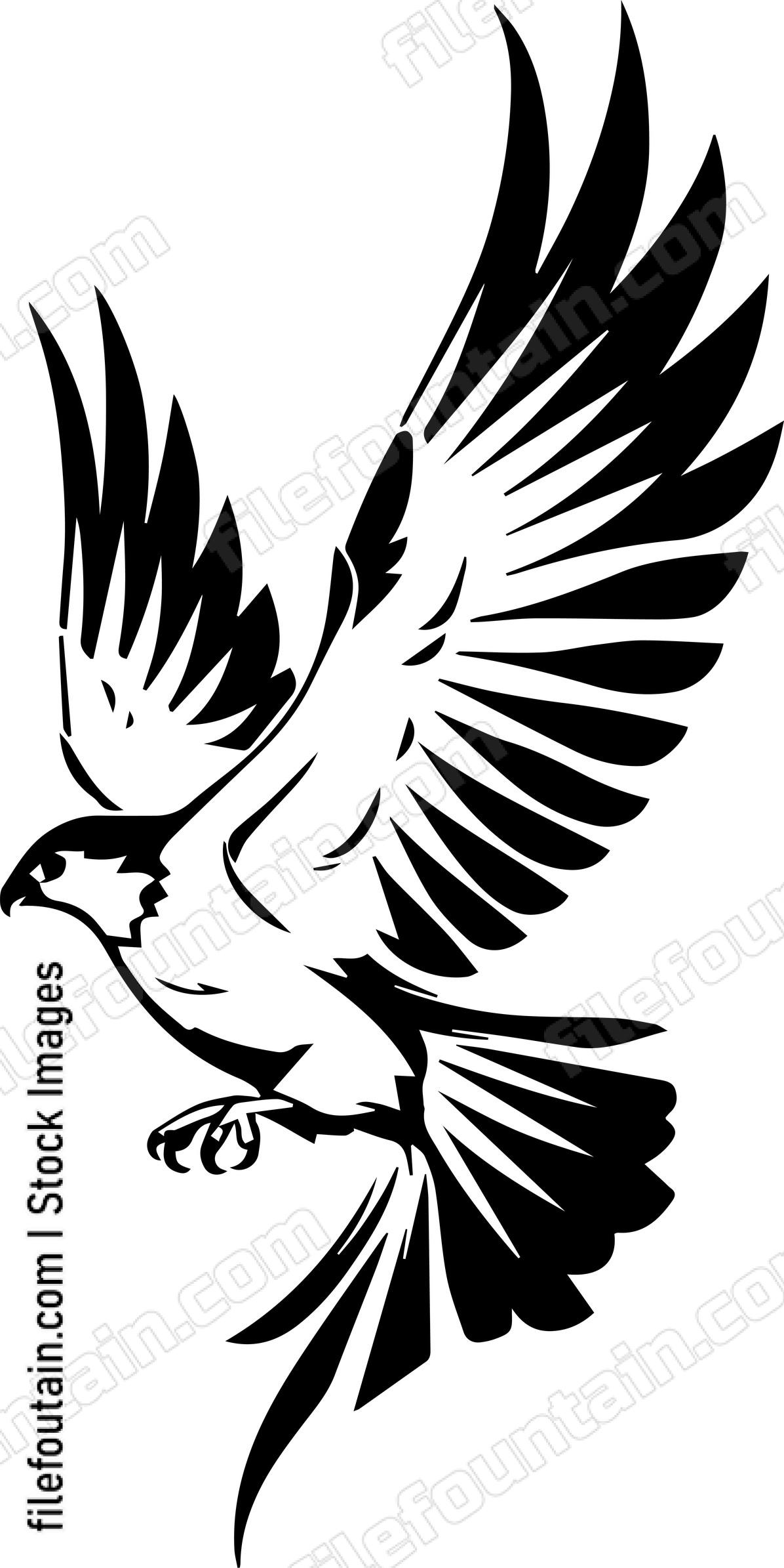 falcon Flying