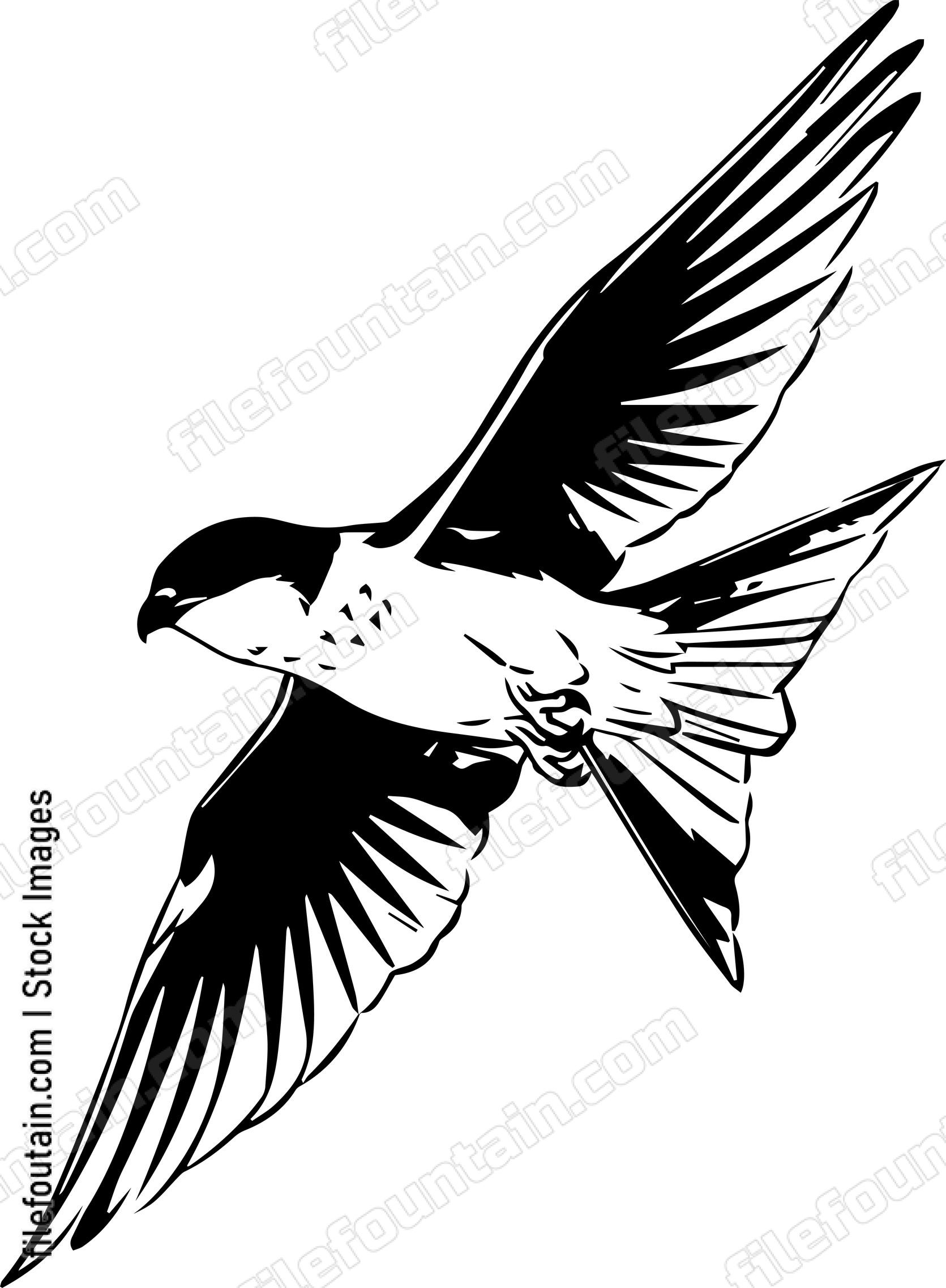 falcon Flying