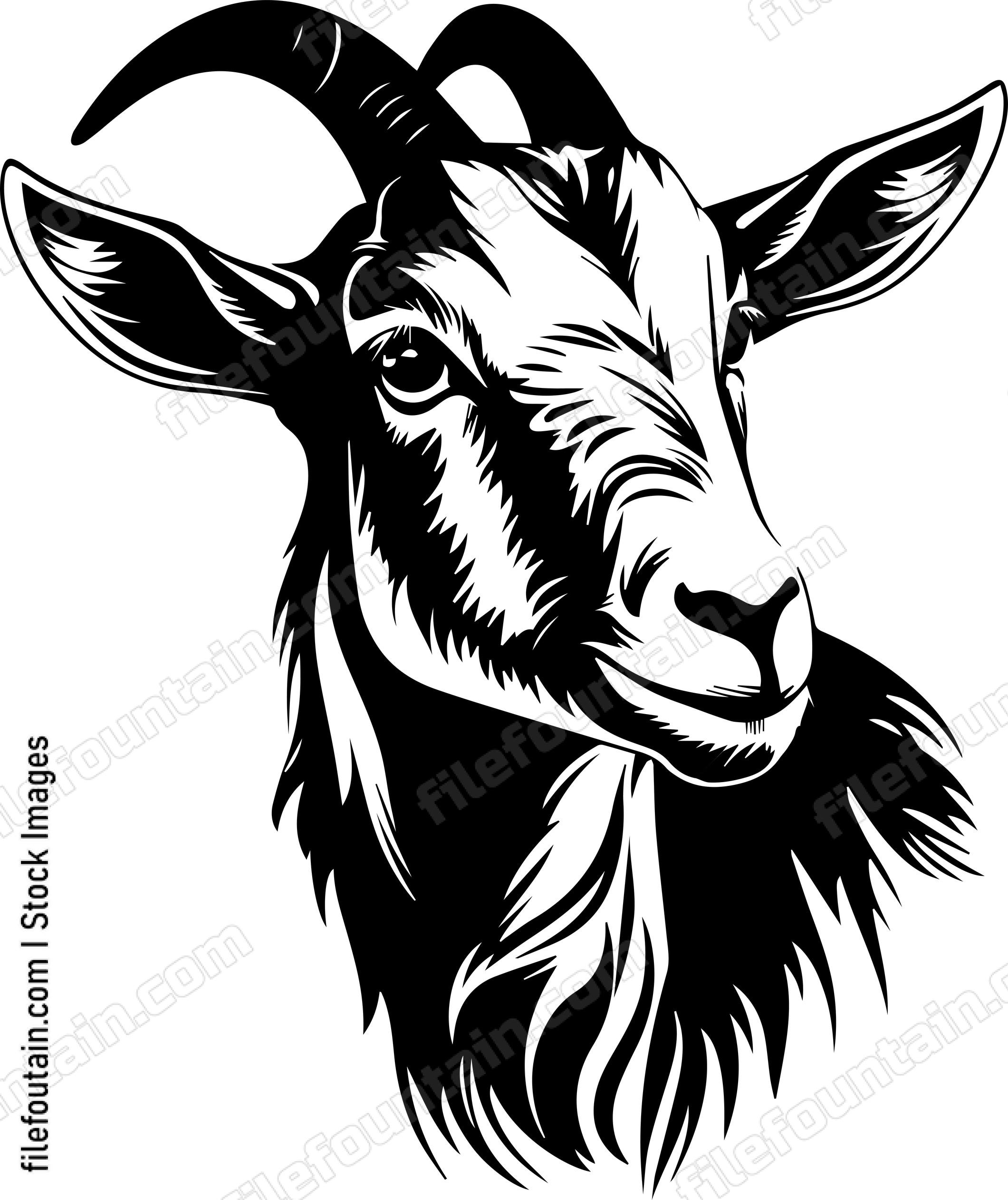 Farm Goat