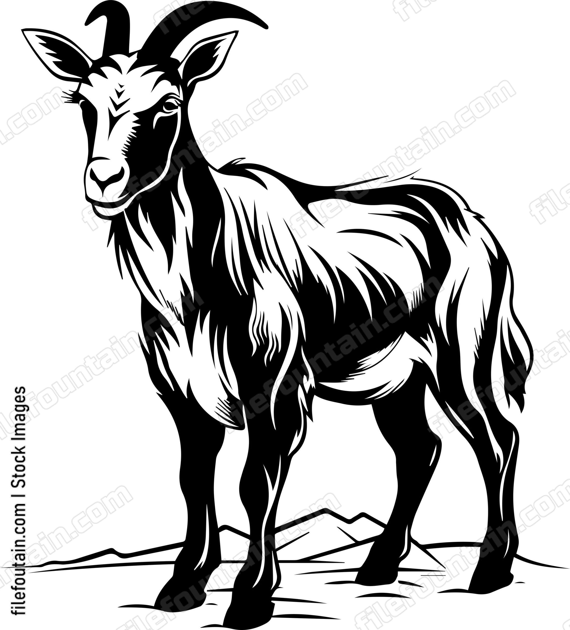 Farm Goat