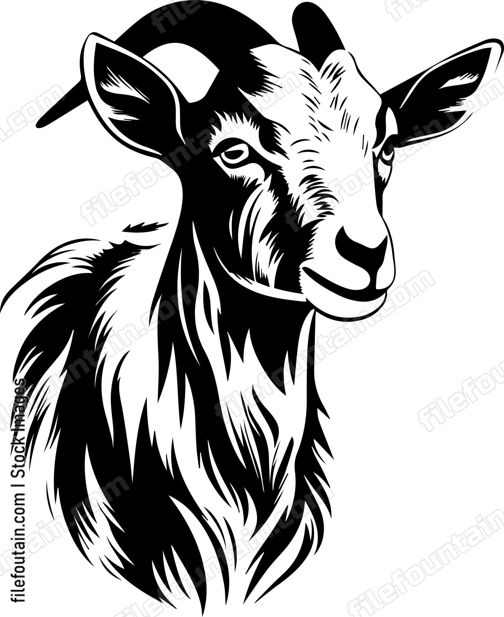 Farm Goat