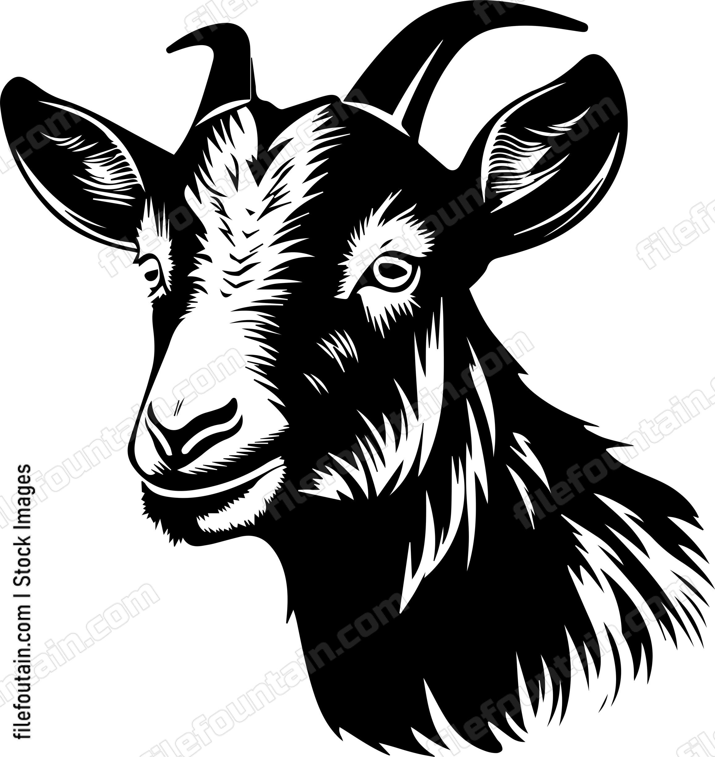Farm Goat