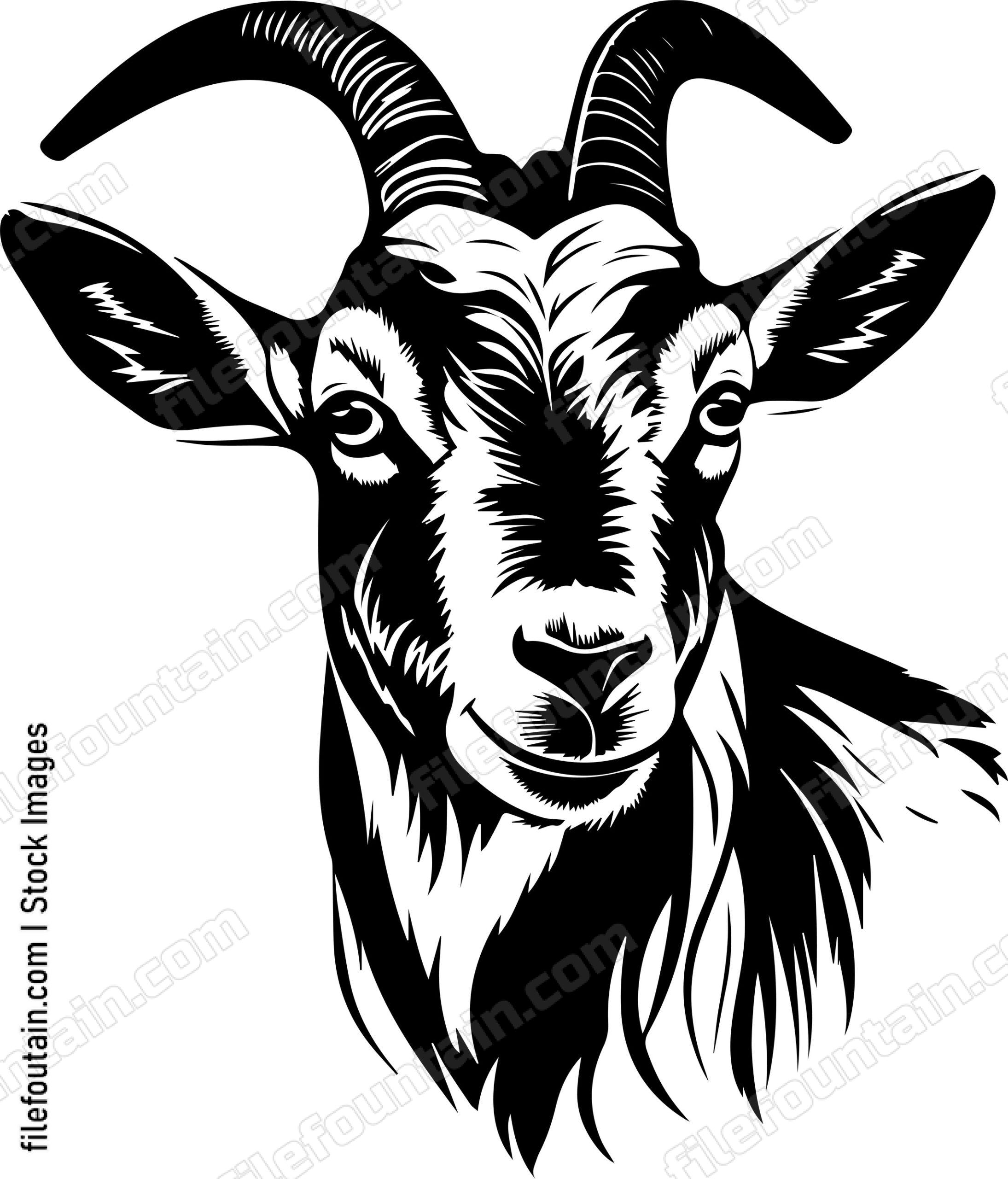 Farm Goat