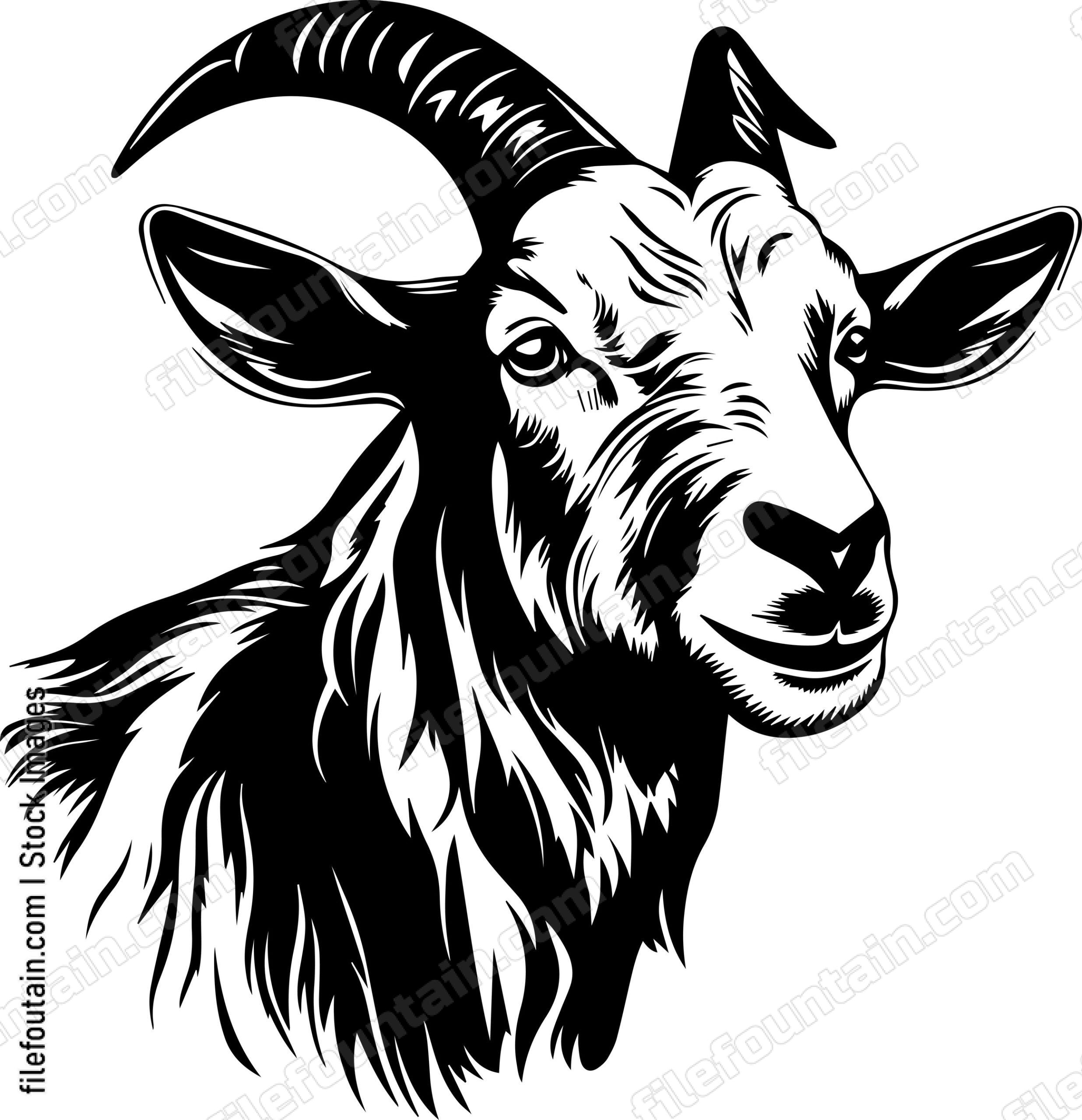 Farm Goat