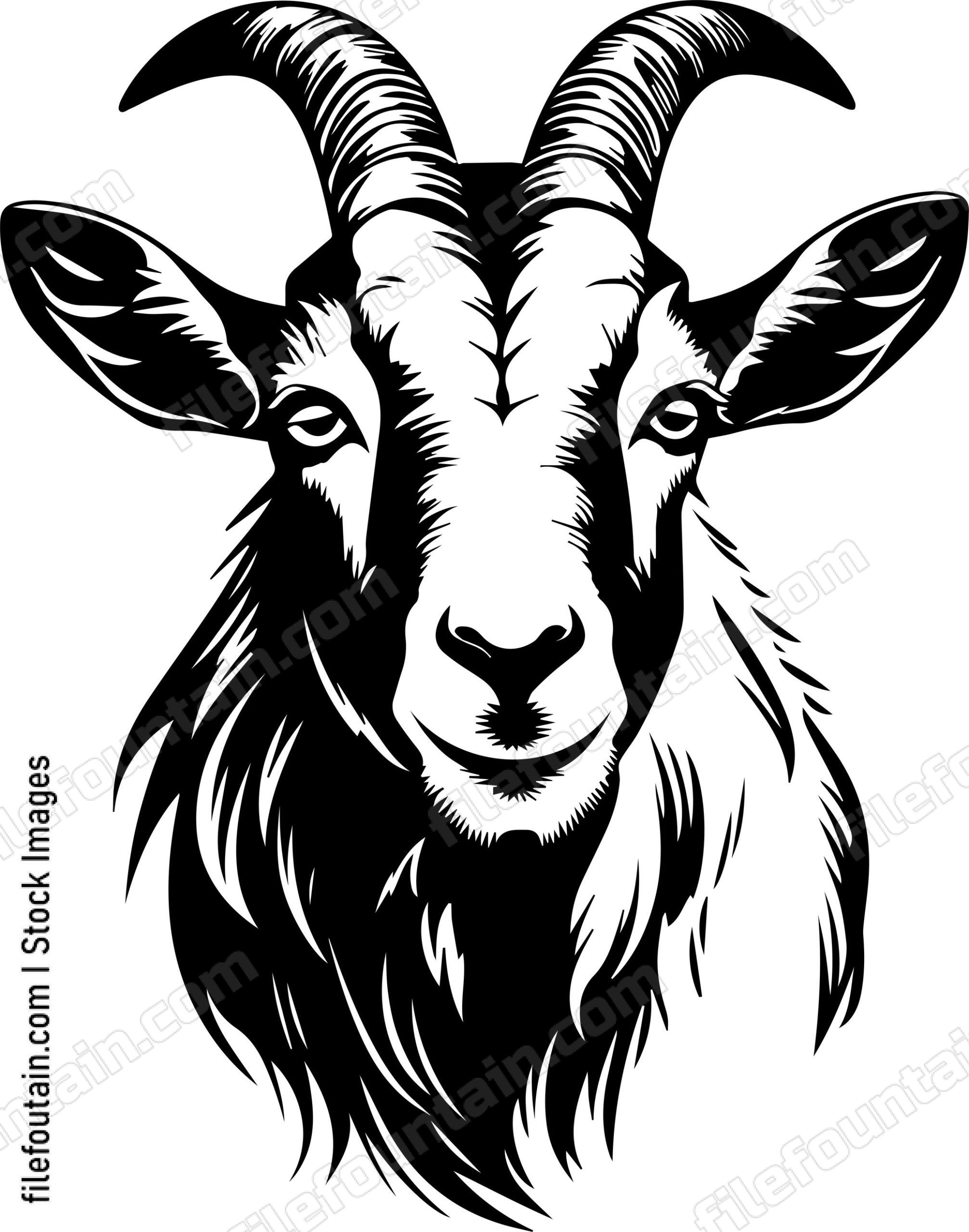 Farm Goat
