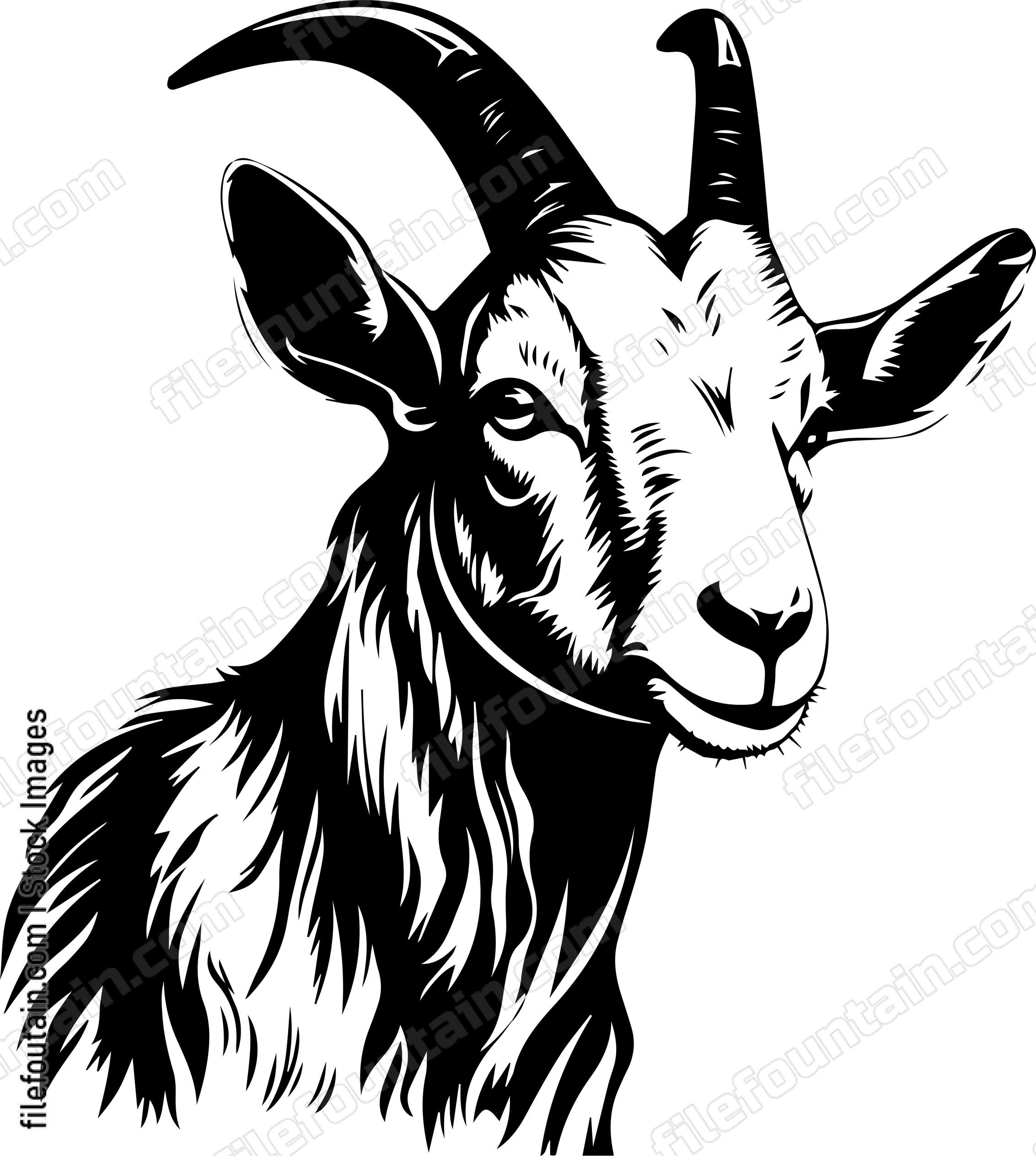 Farm Goat