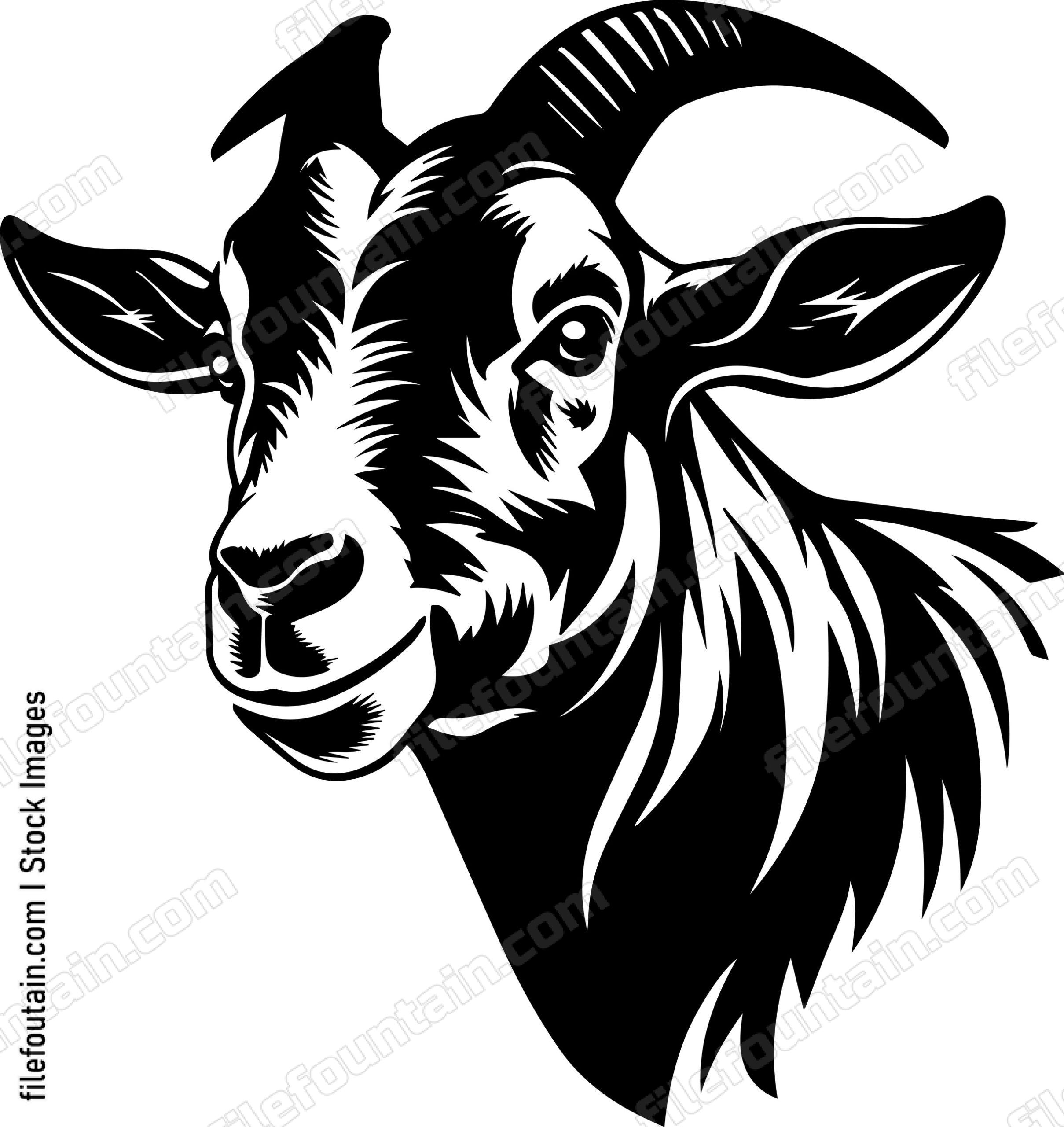 Farm Goat
