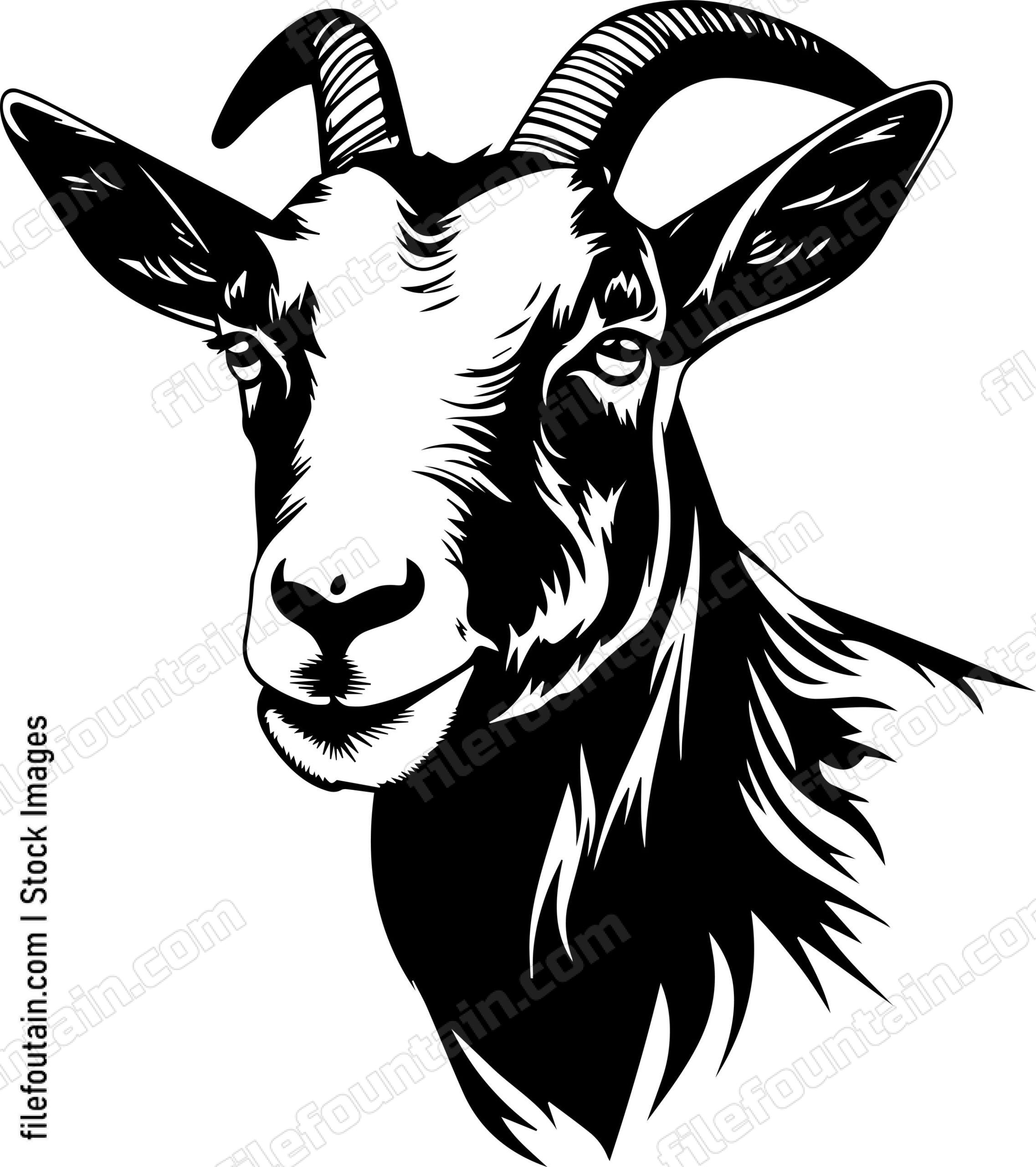 Farm Goat