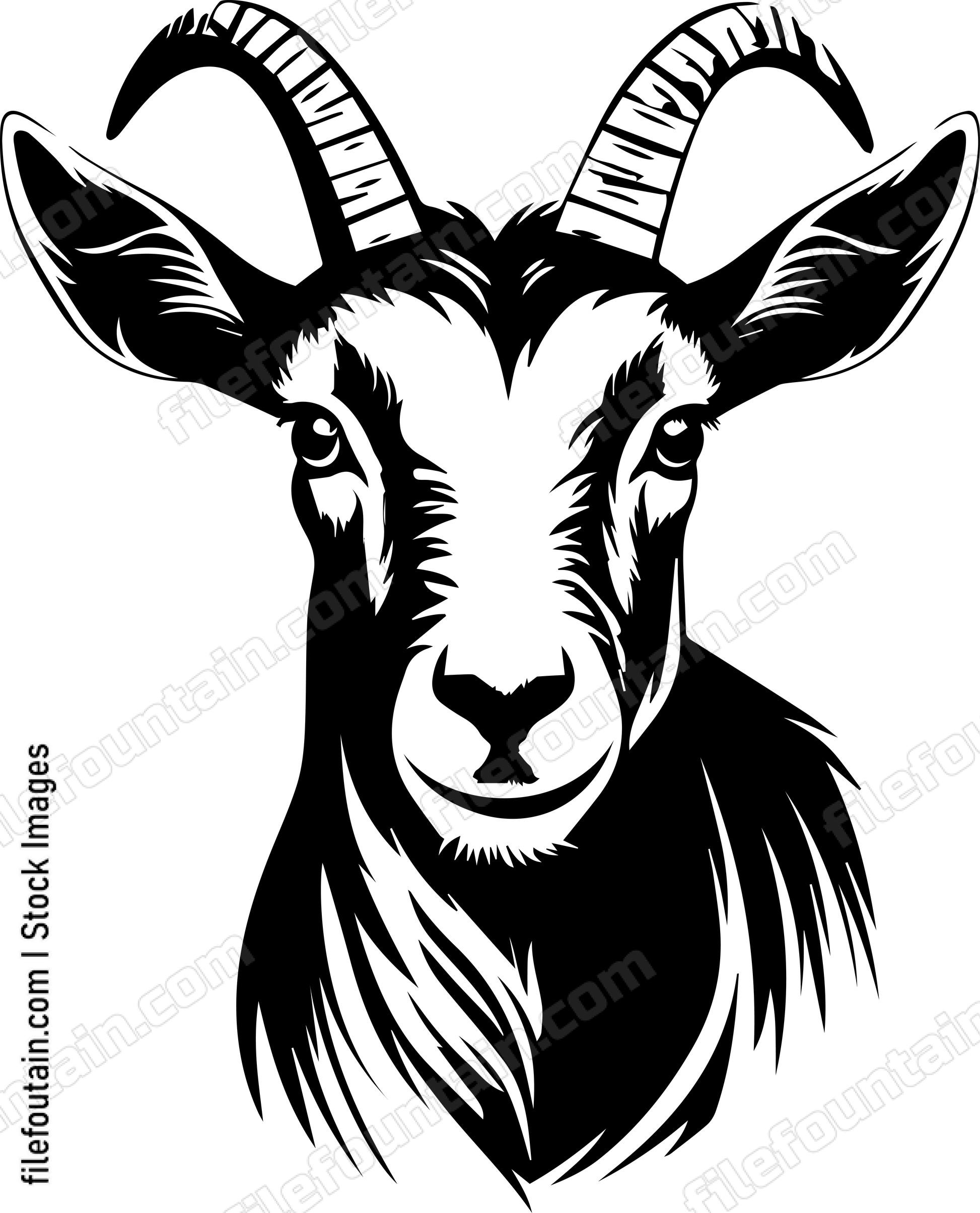 Farm Goat