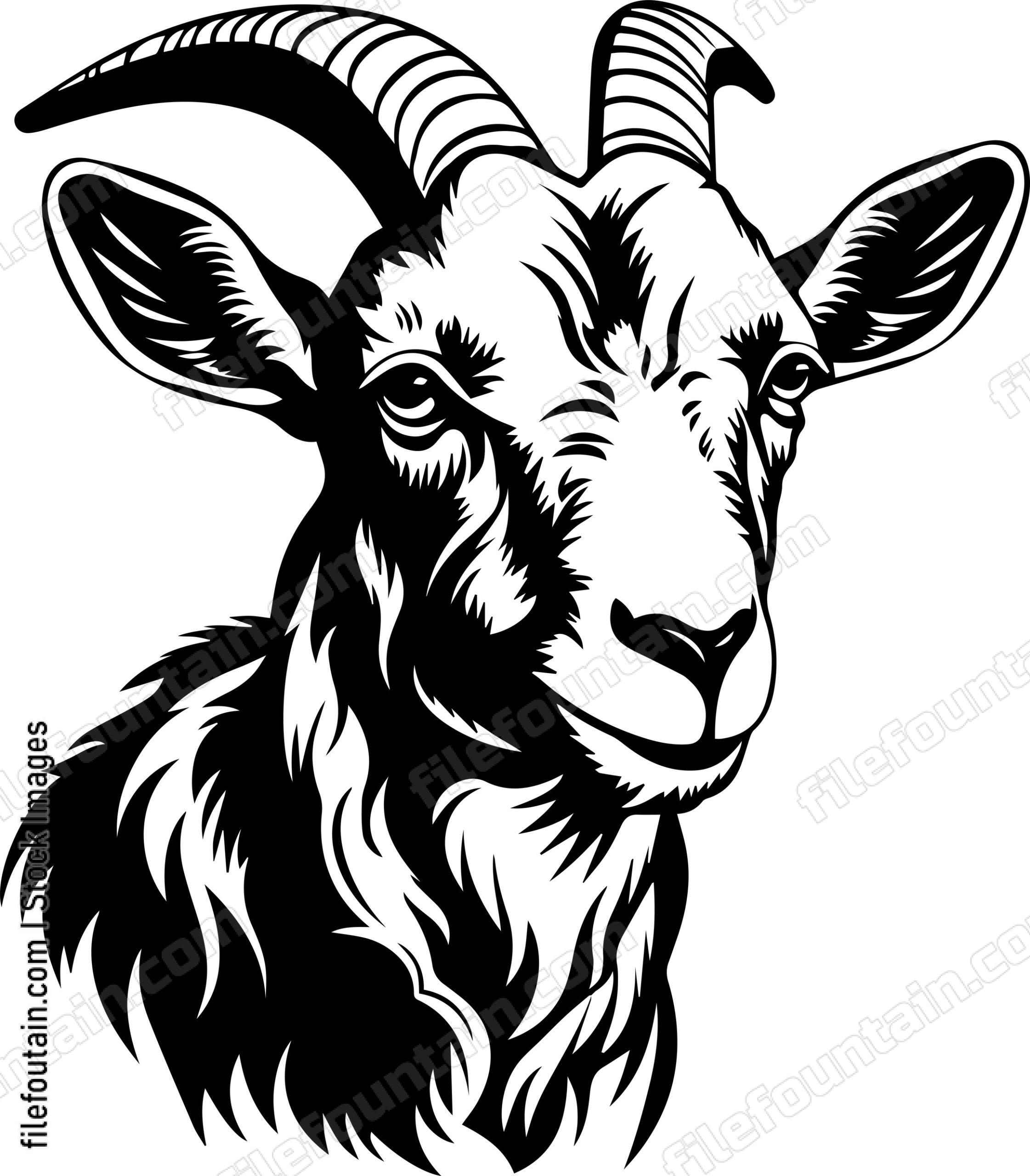 Farm Goat