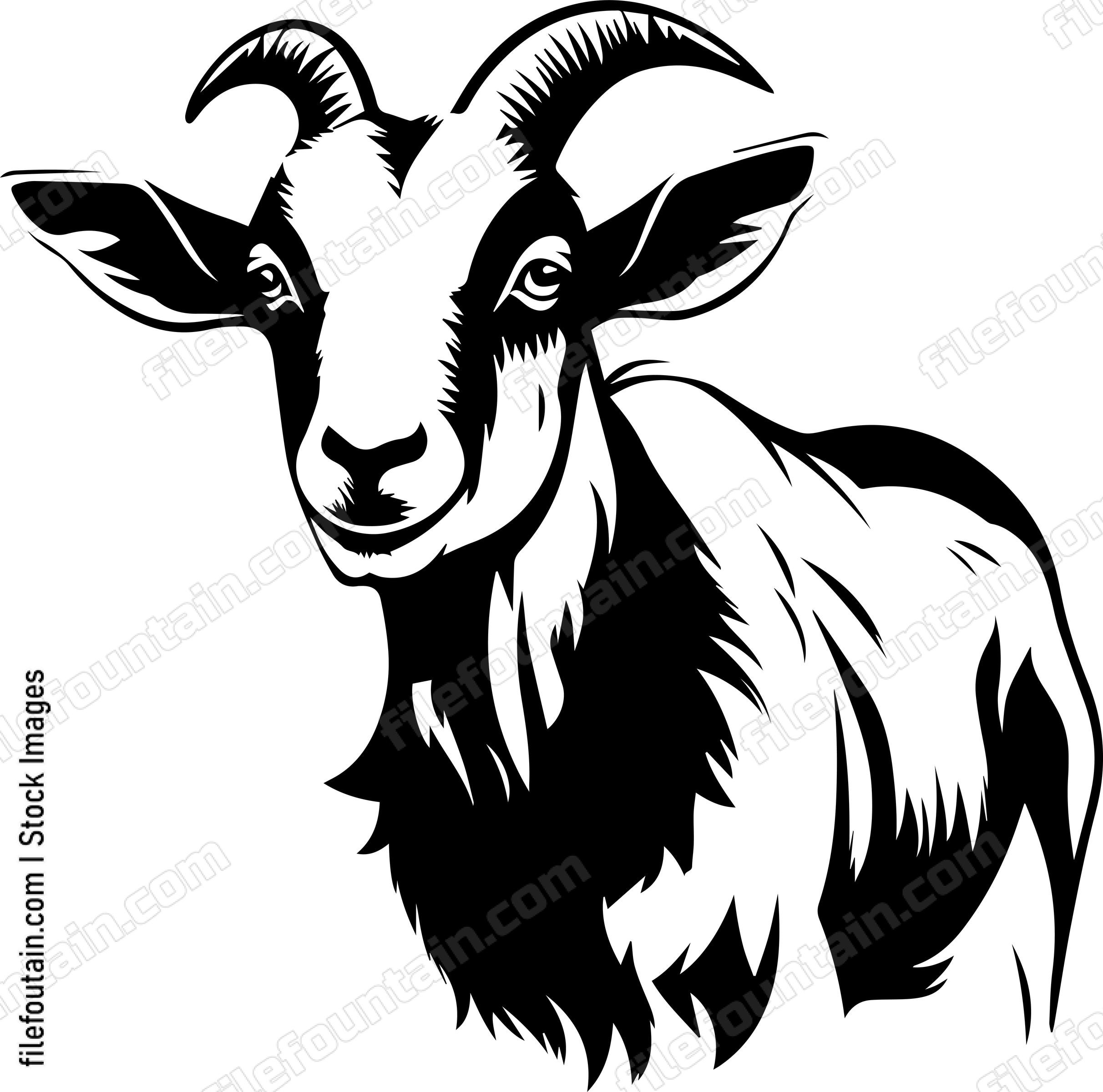 Farm Goat