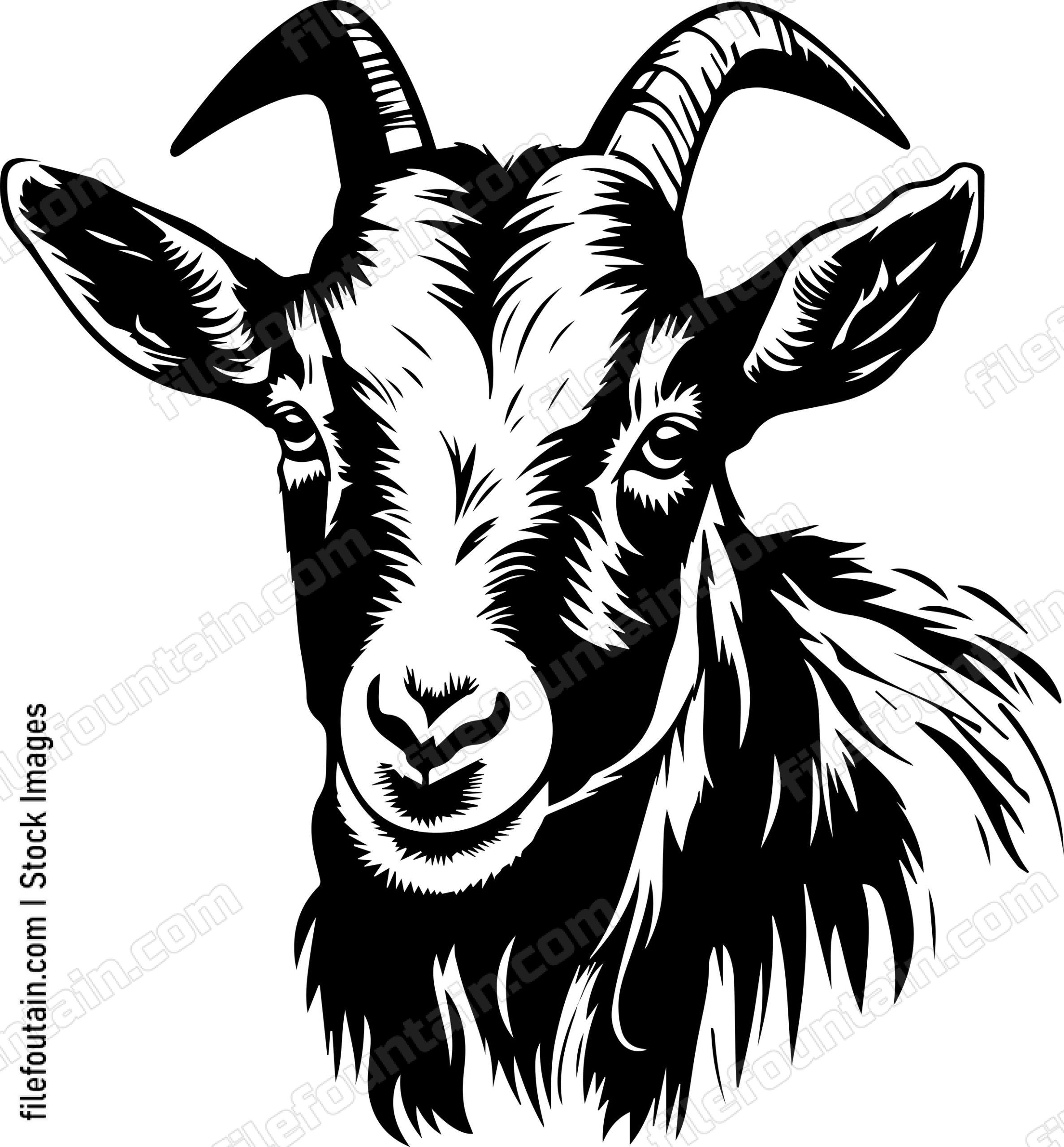 Farm Goat