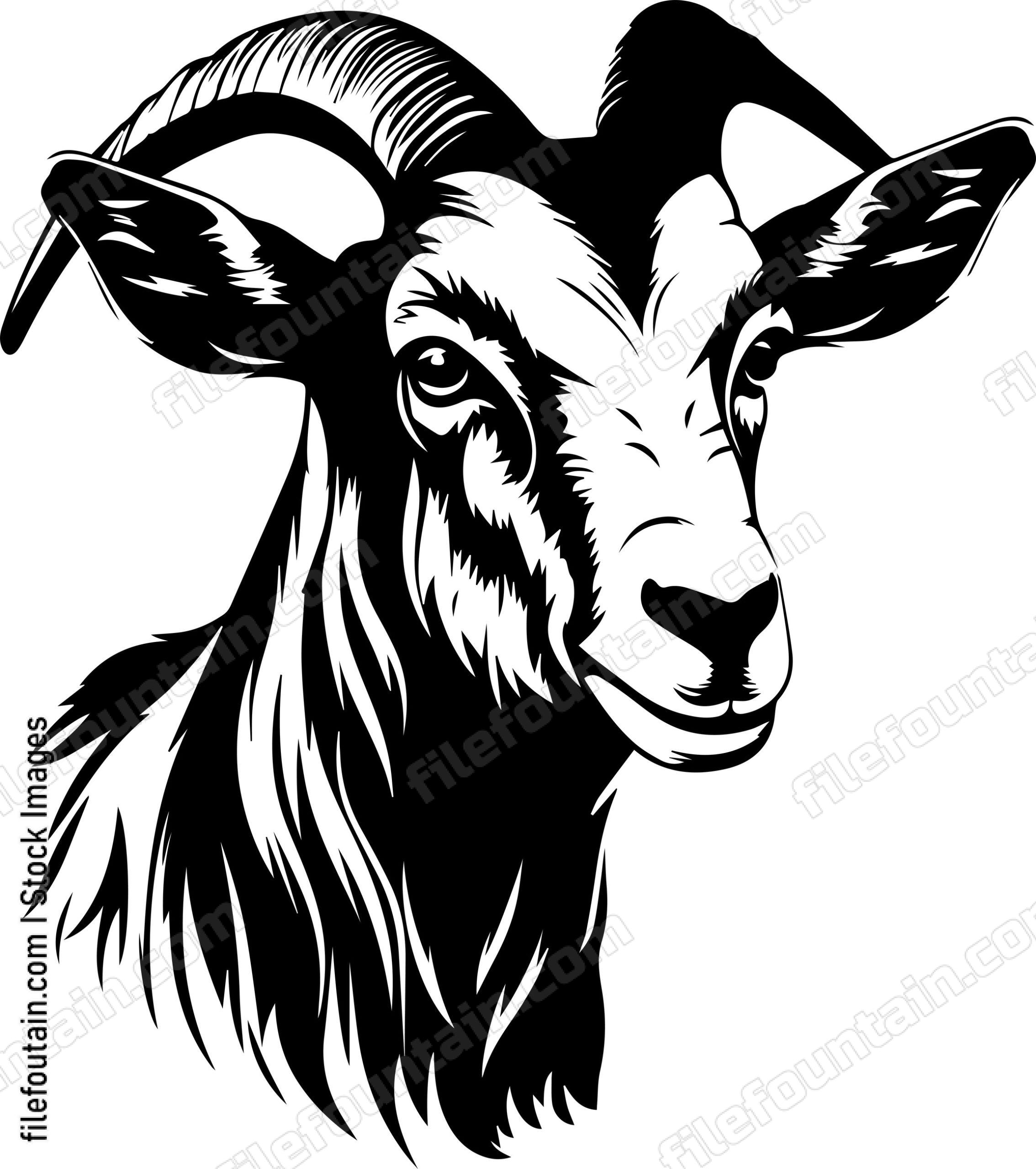 Farm Goat