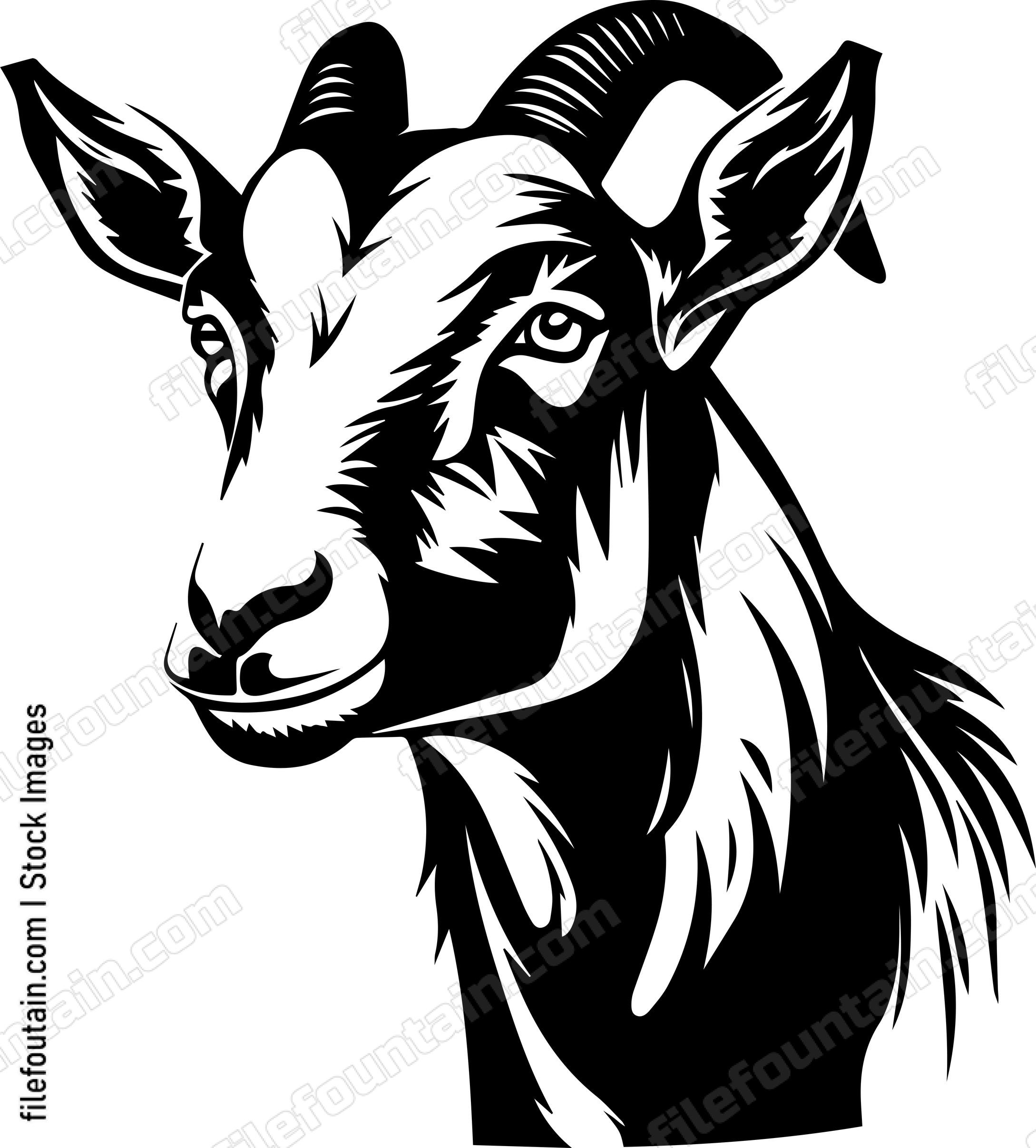 Farm Goat