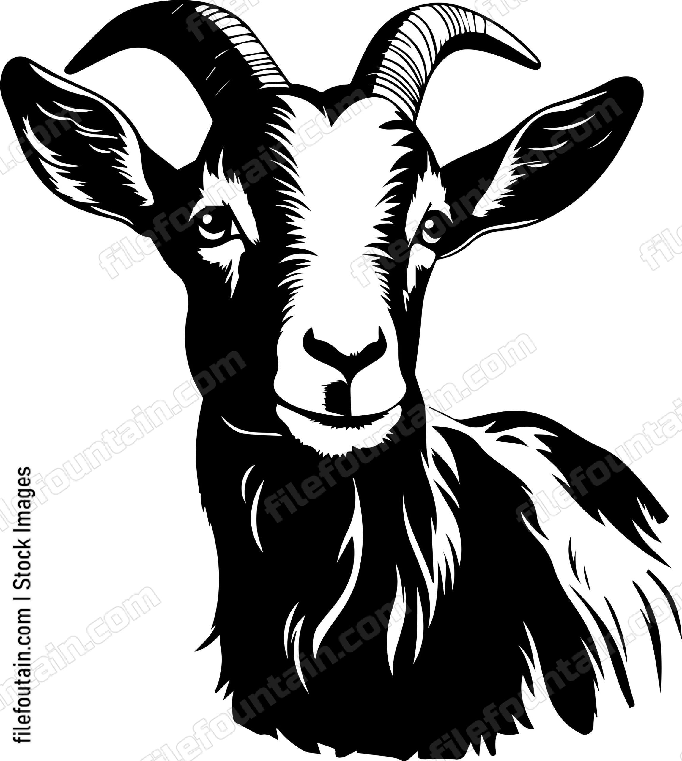 Farm Goat