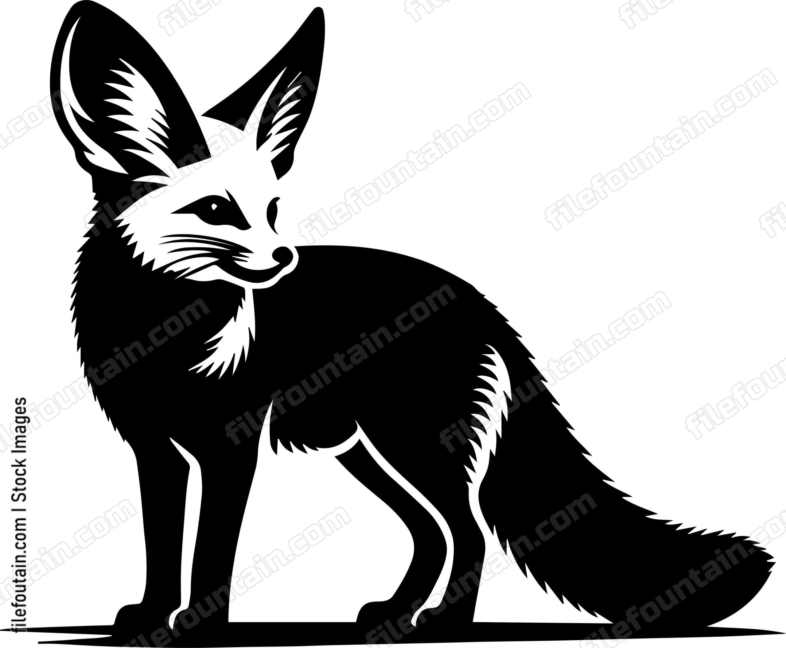 Fennec Fox
