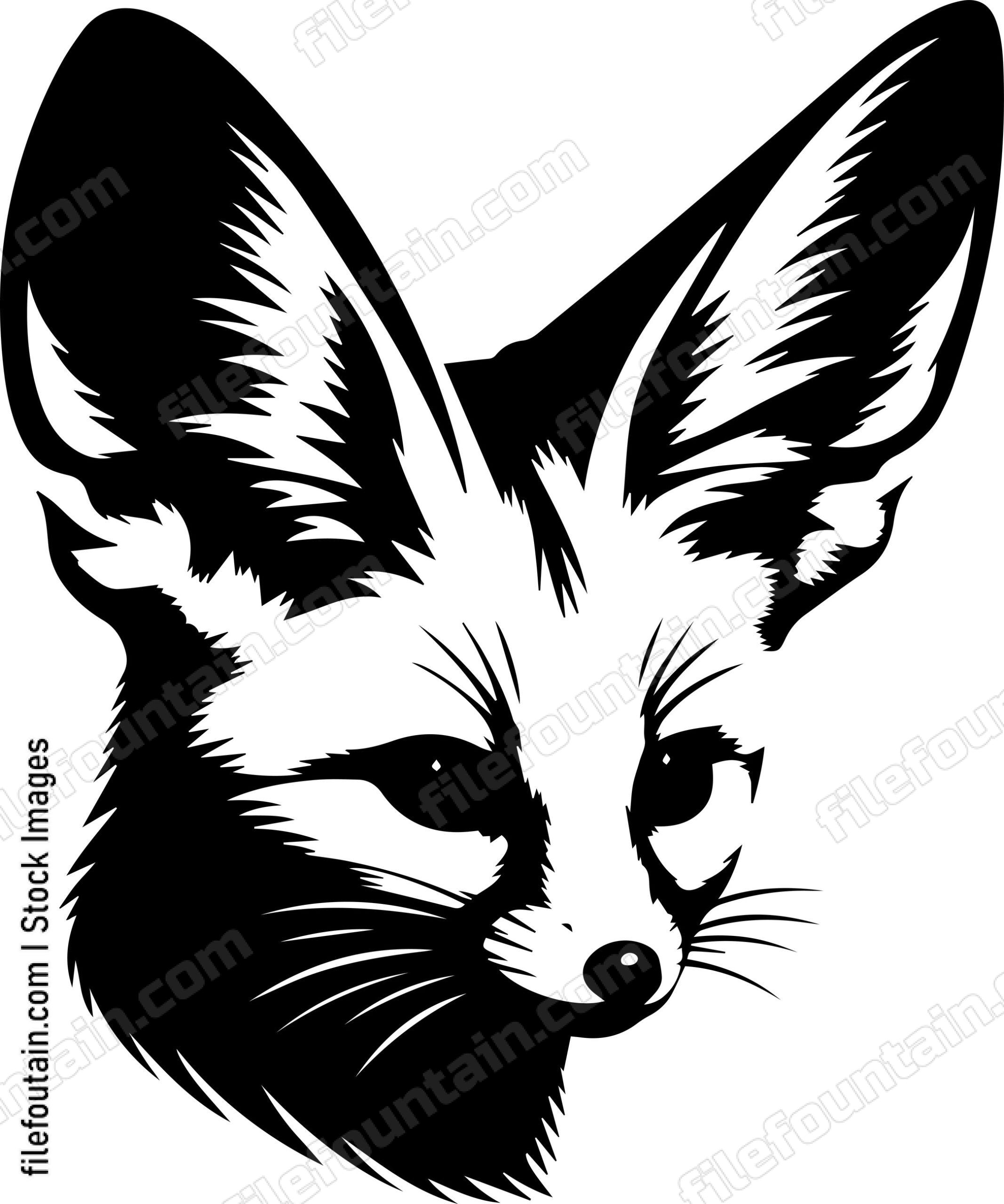 Fennec Fox