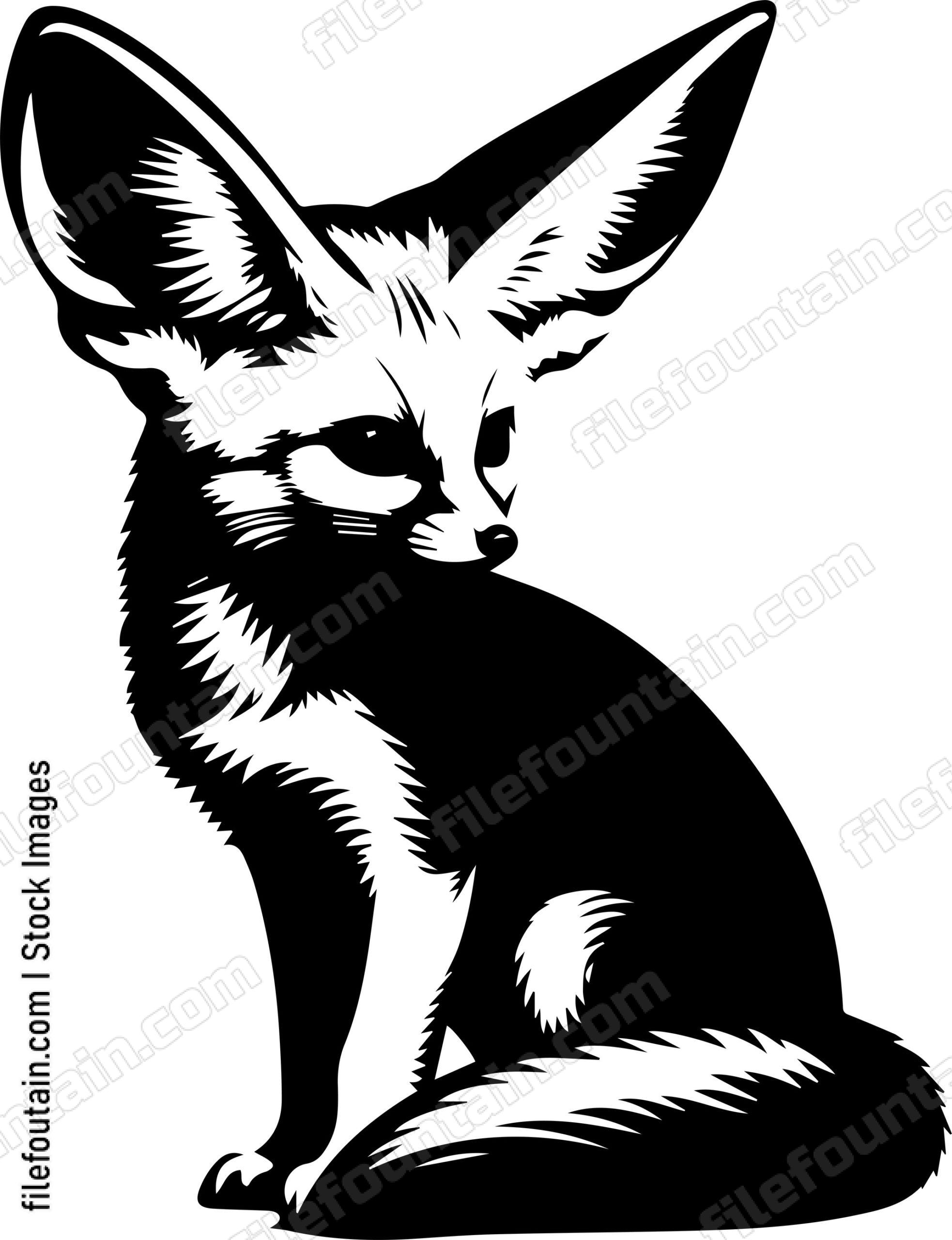 Fennec Fox