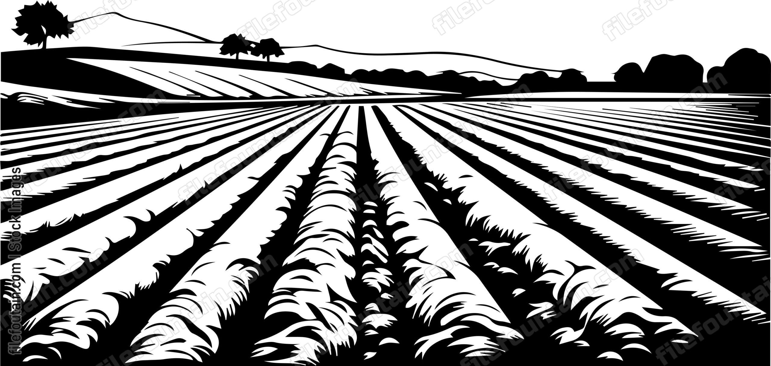 Field