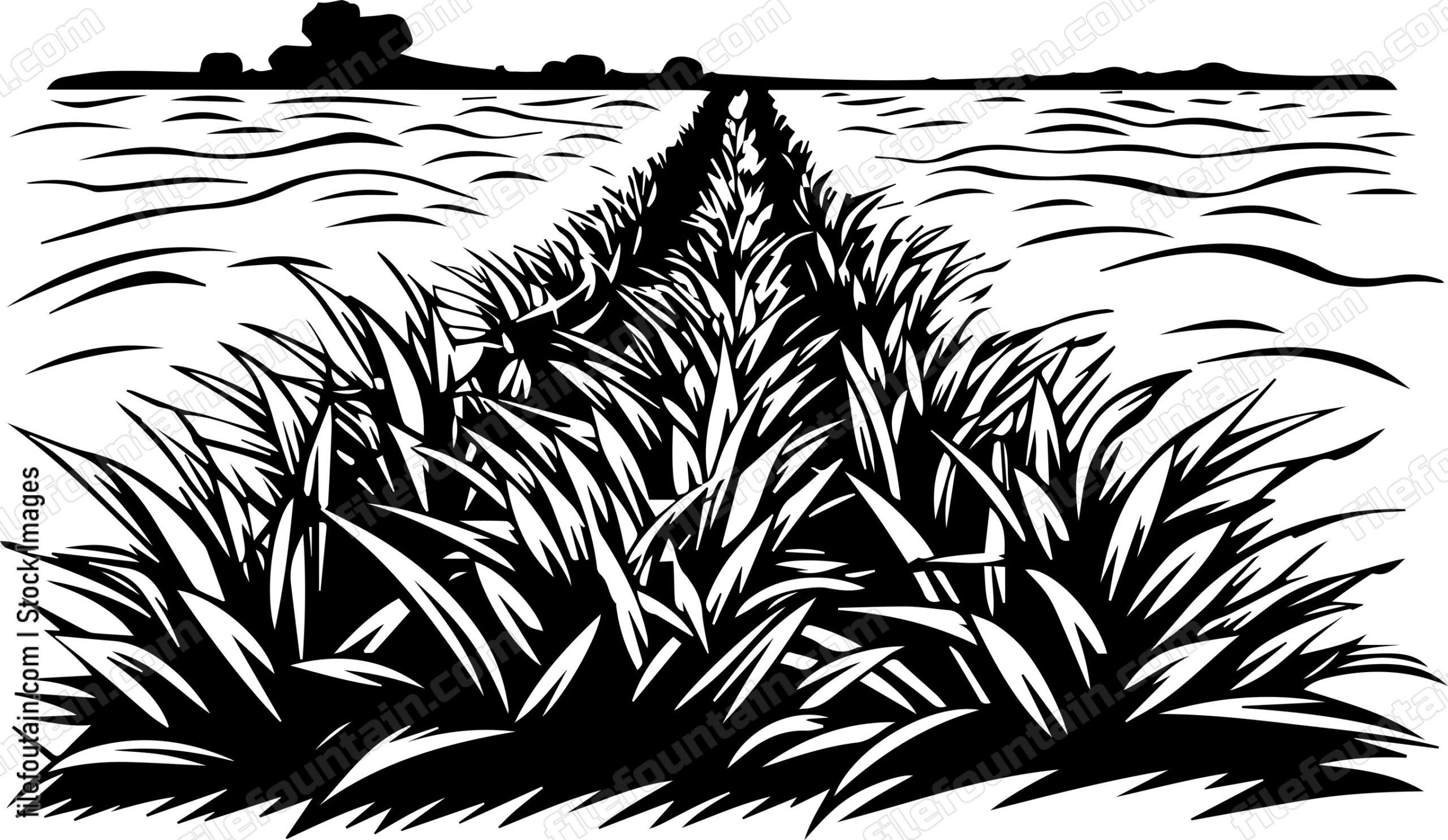 Field