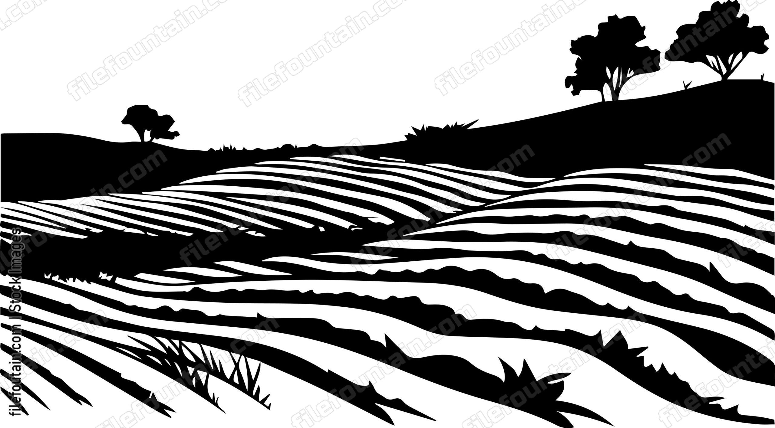 Field