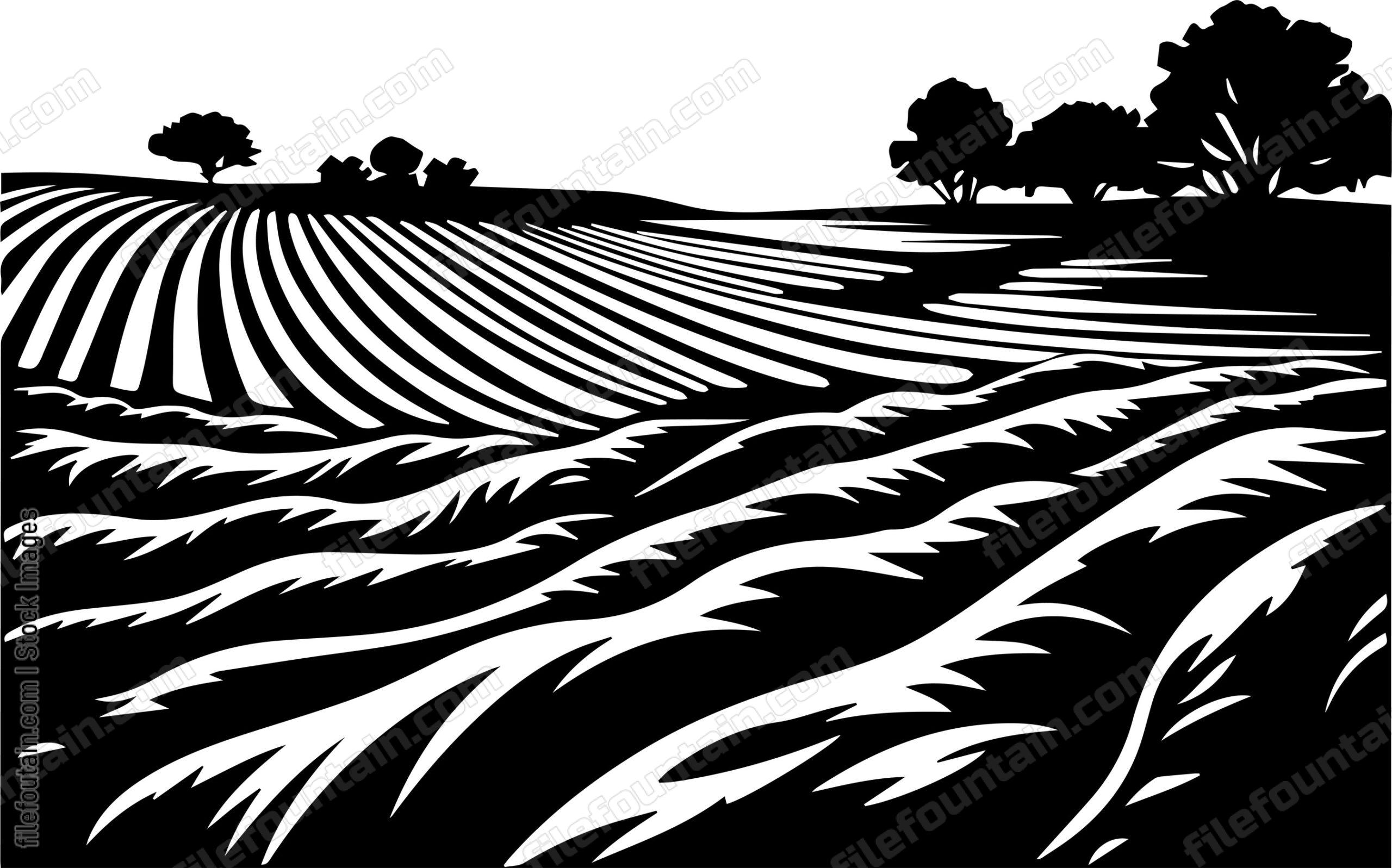 Field