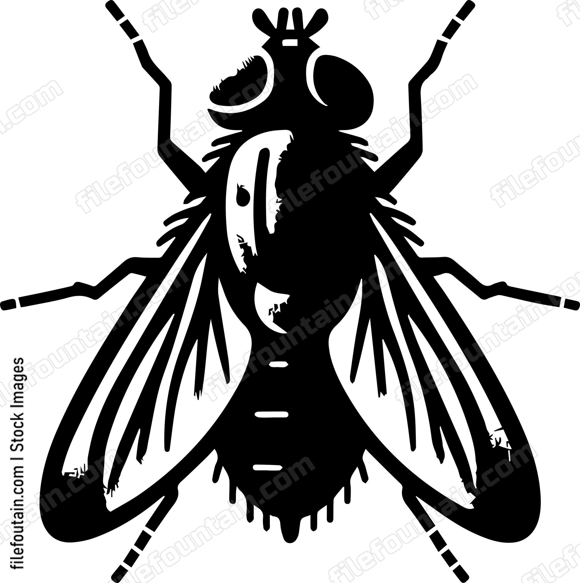 Fly