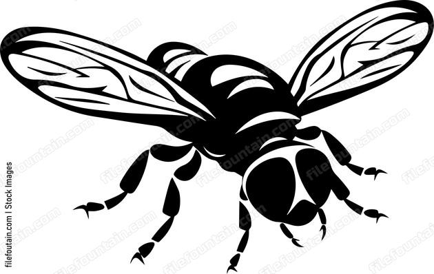 Fly