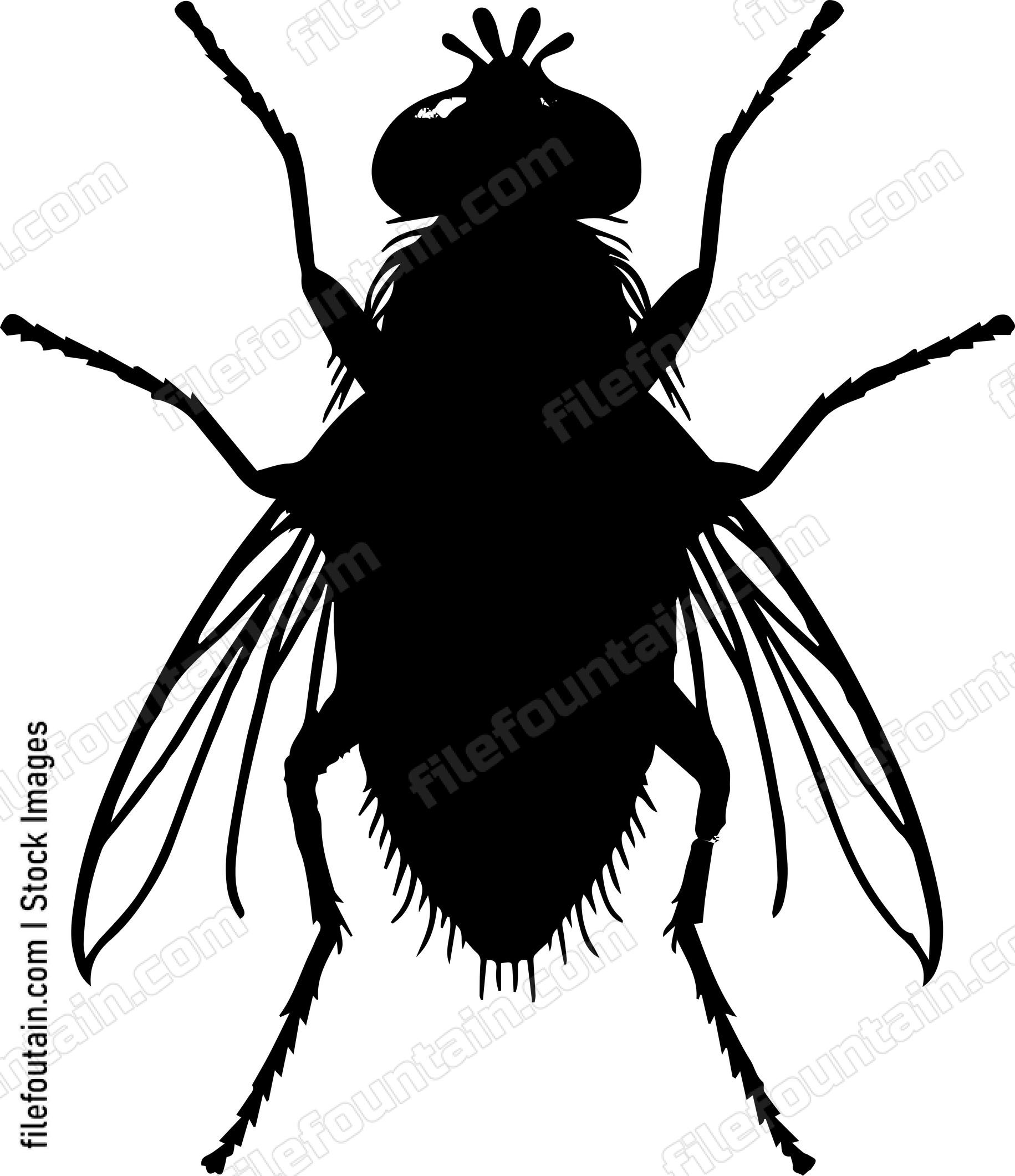 Fly