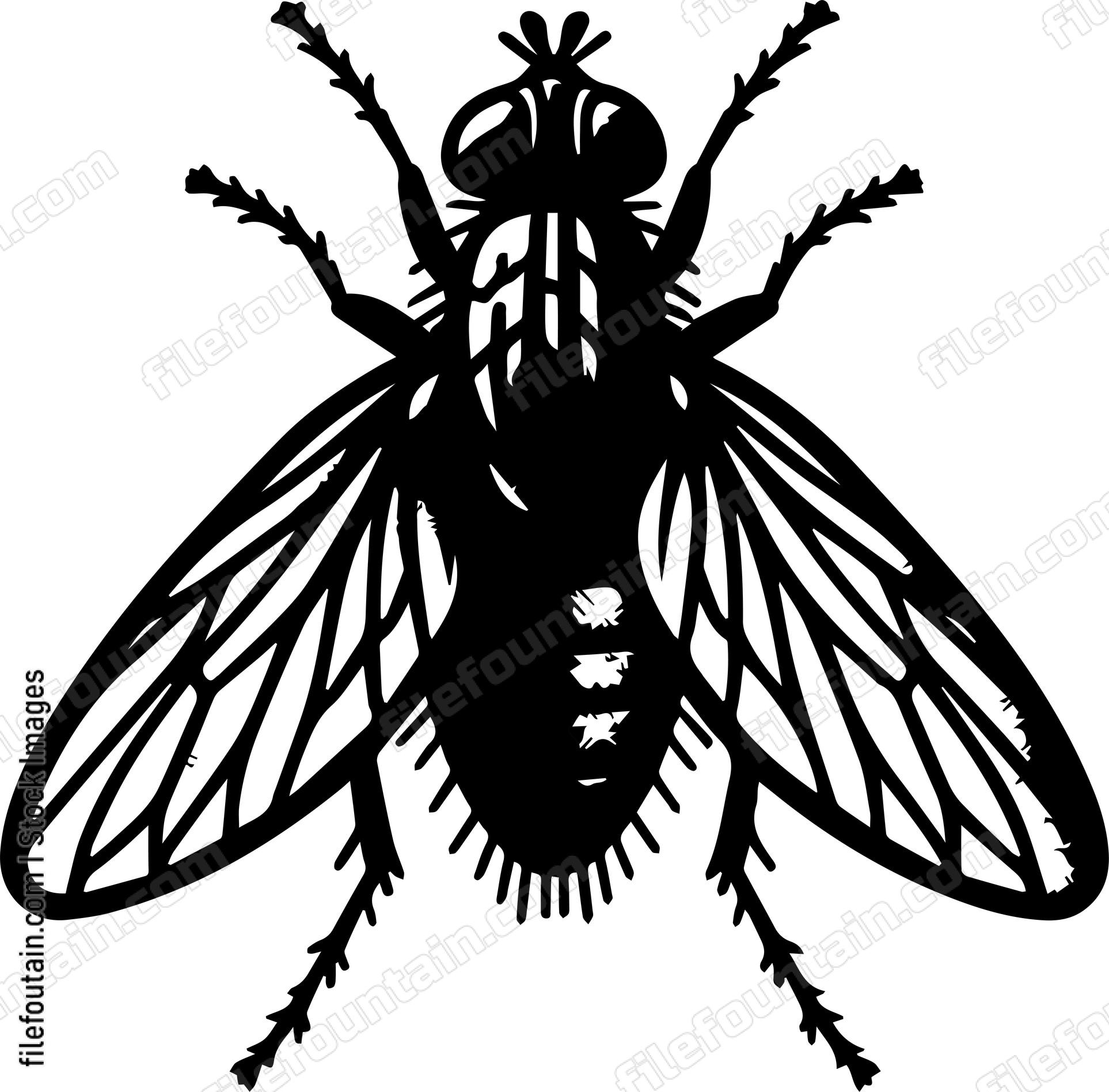 Fly