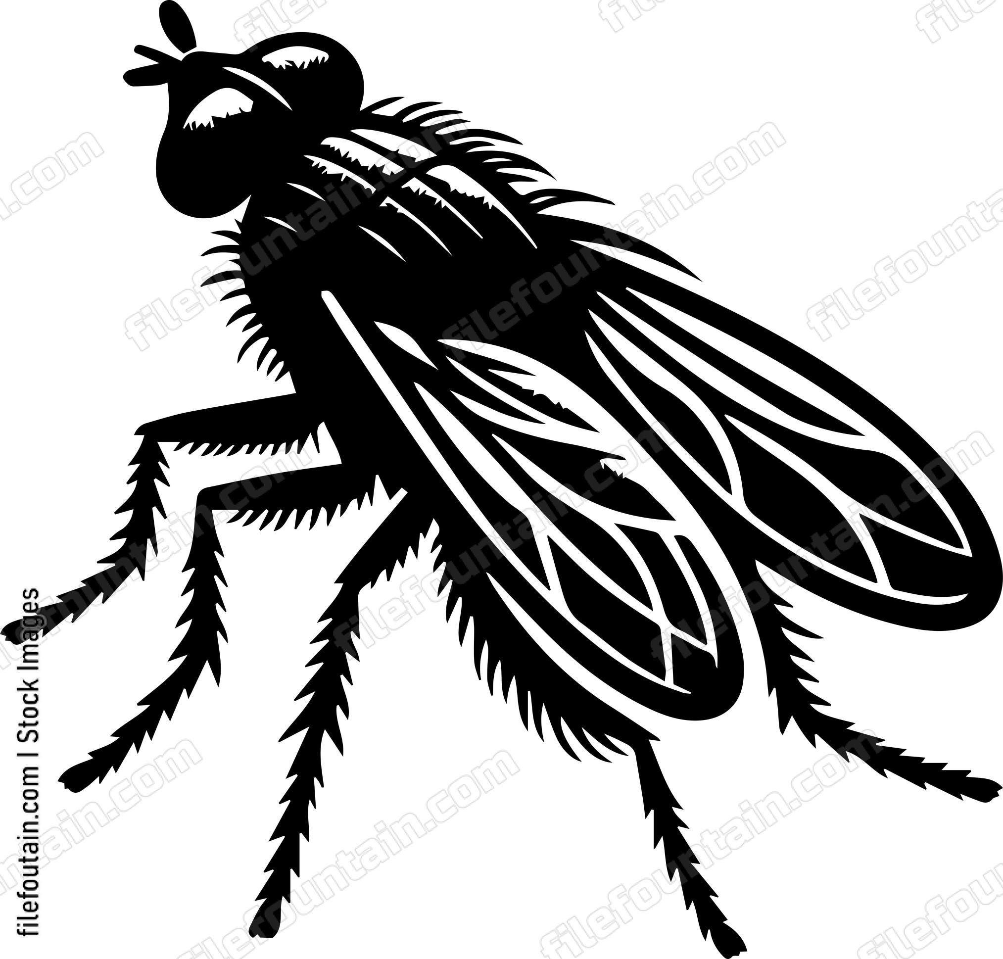 Fly