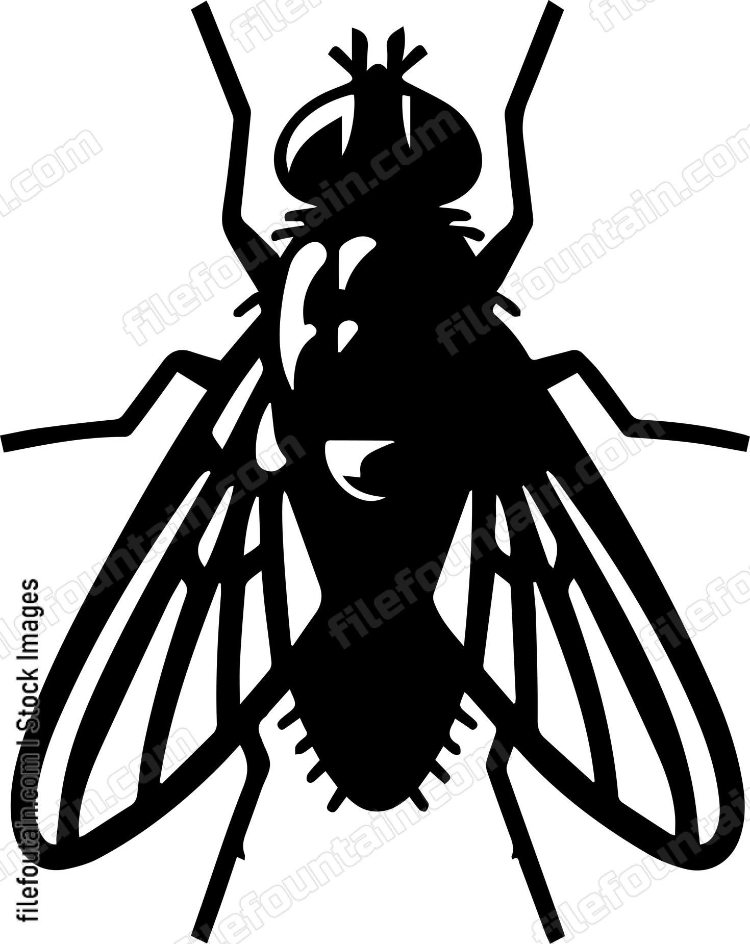 Fly