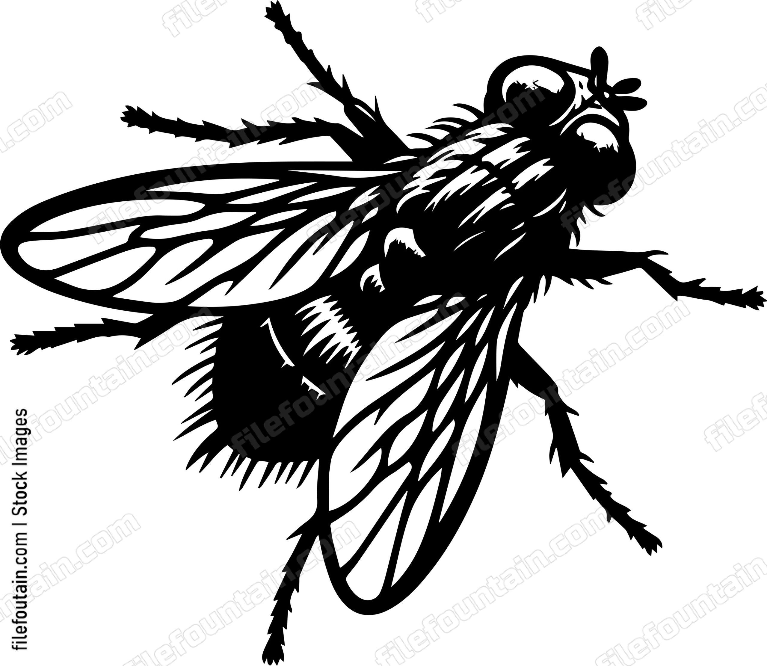 Fly