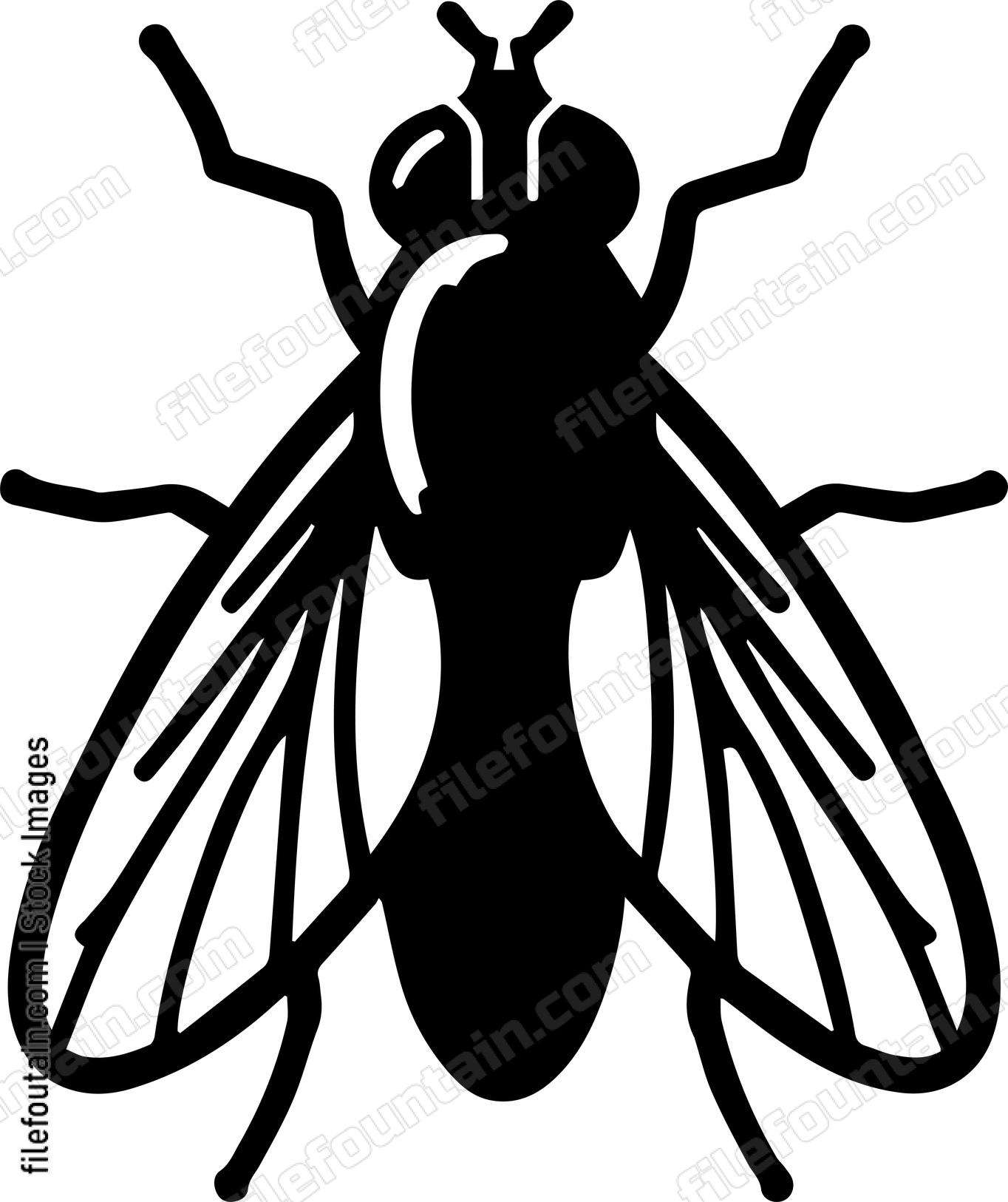 Fly