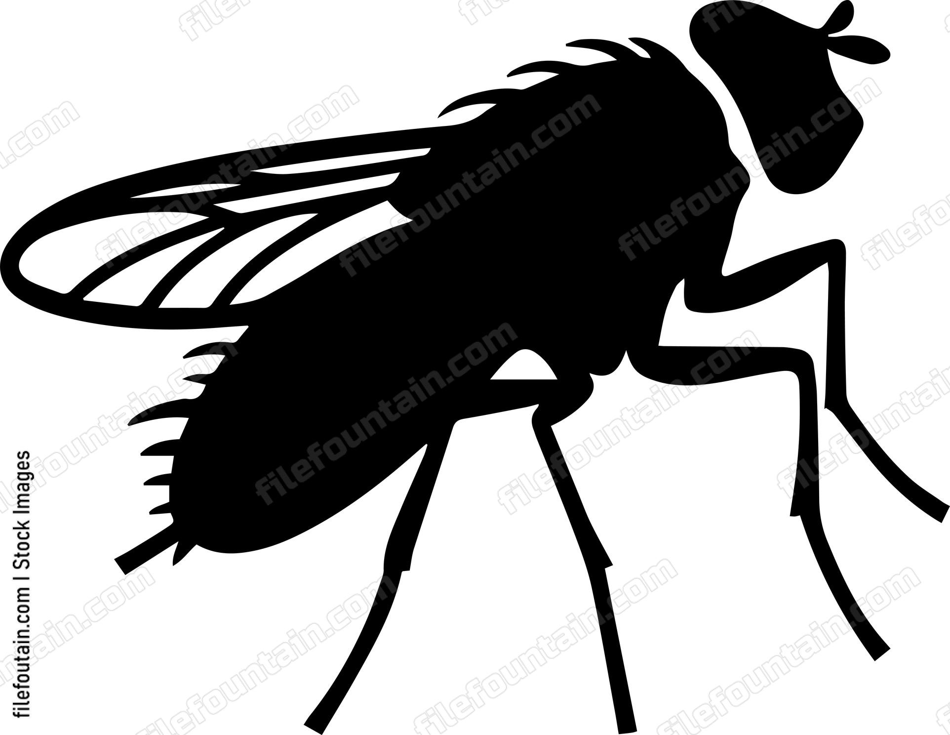 Fly