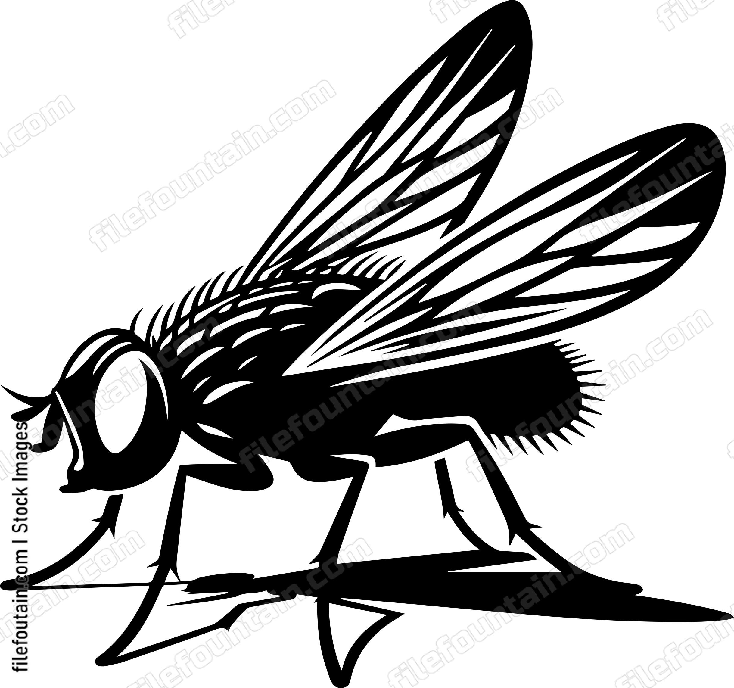 Fly