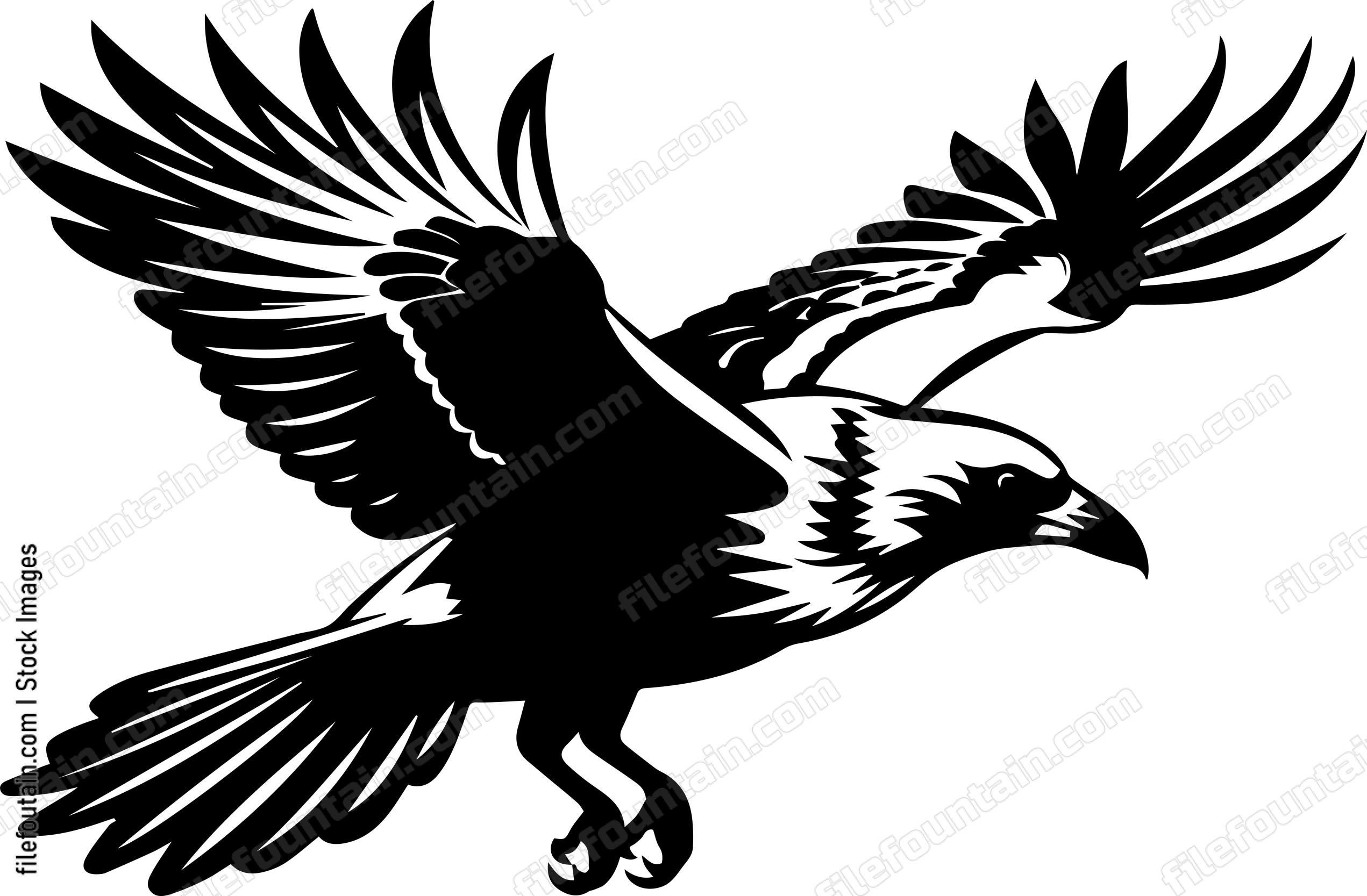 Flying Crow
