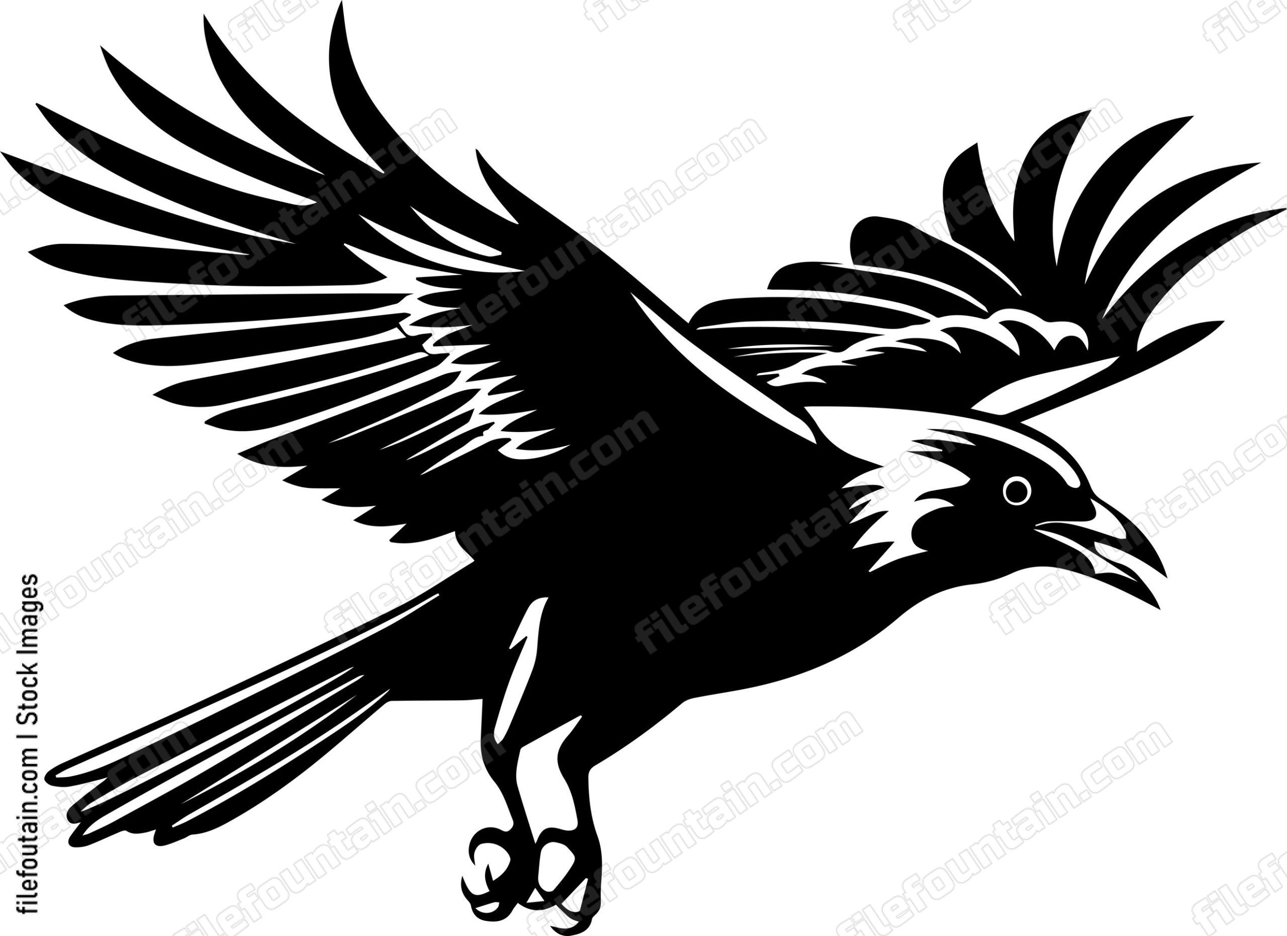 Flying Crow