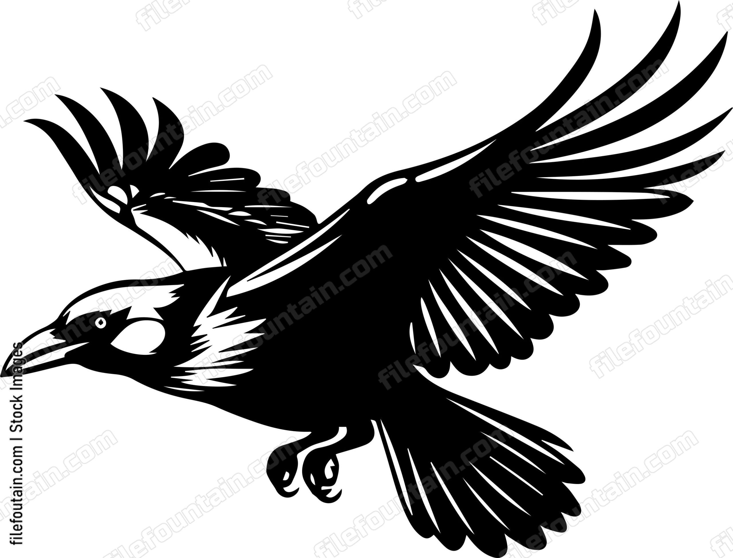Flying Crow