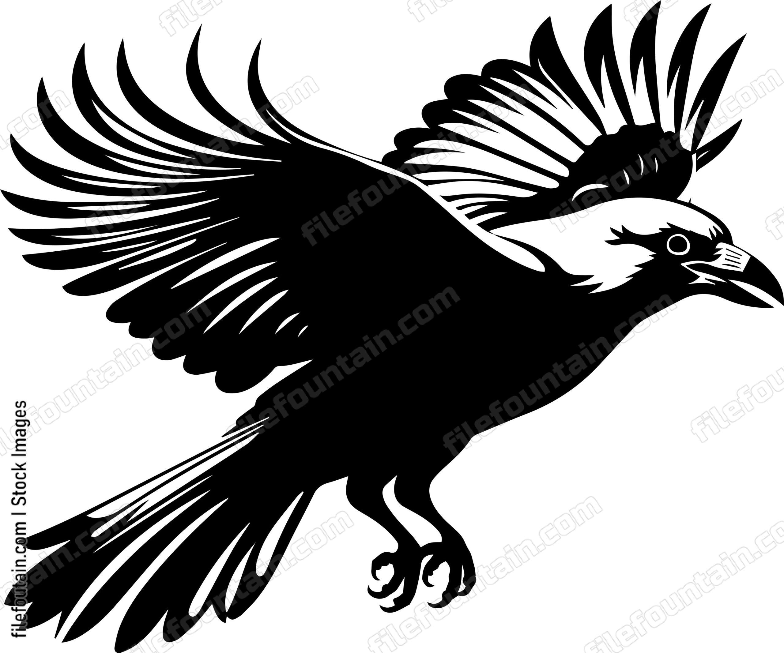 Flying Crow