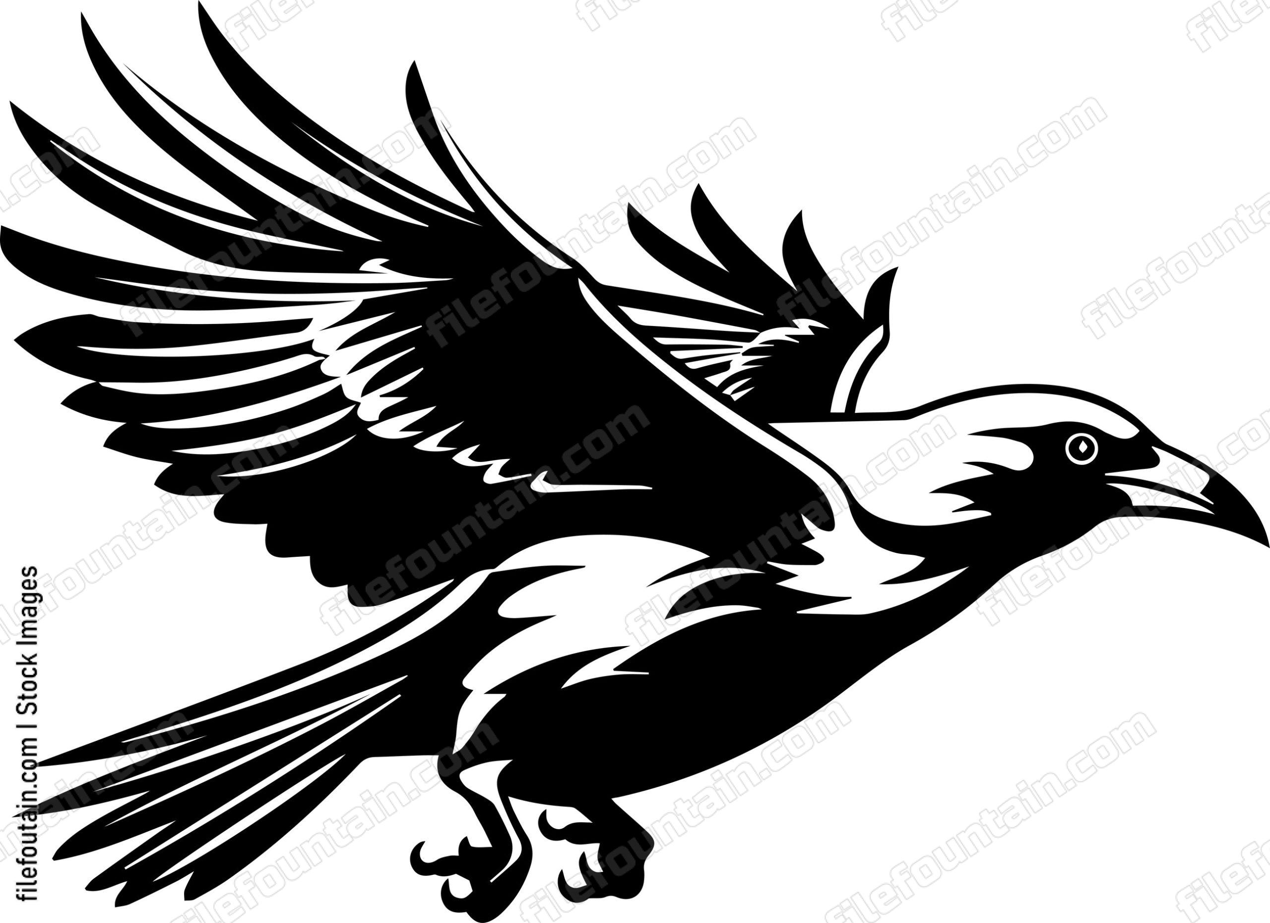 Flying Crow