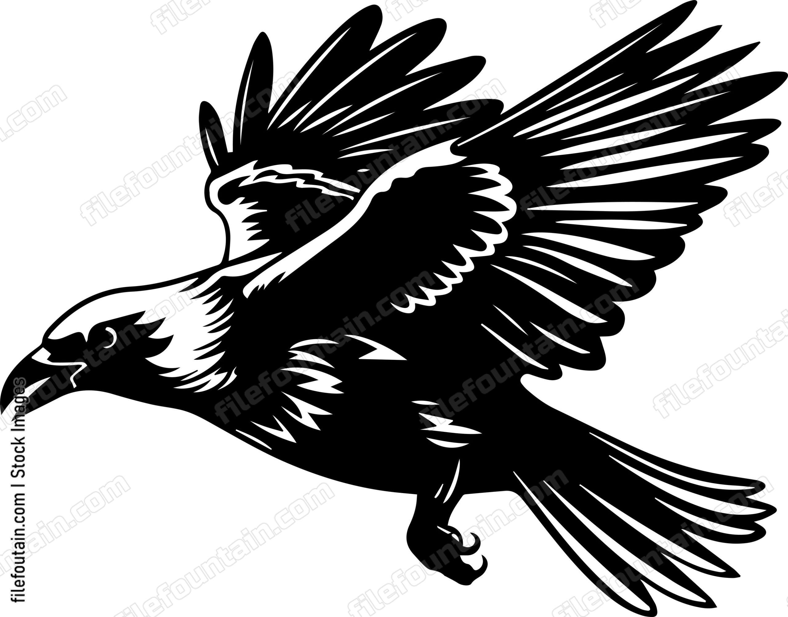 Flying Crow