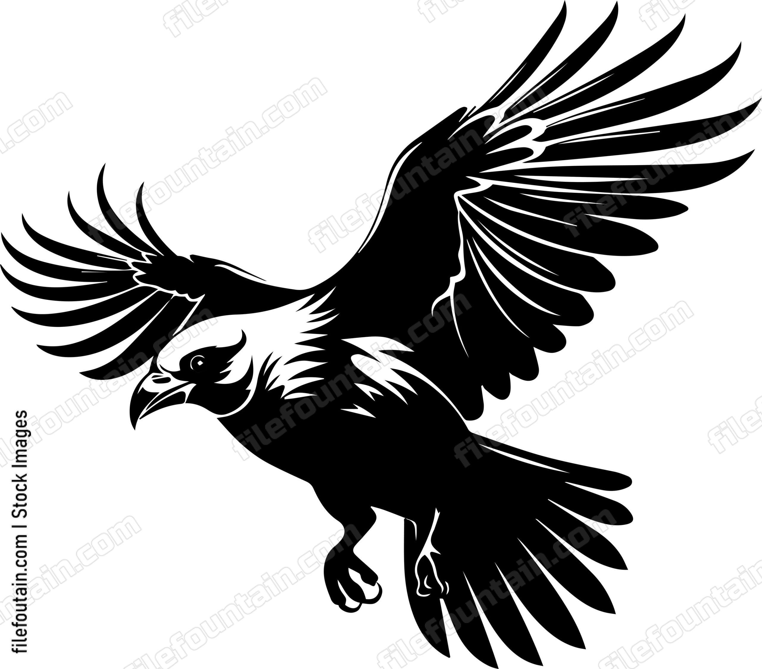 Flying Crow