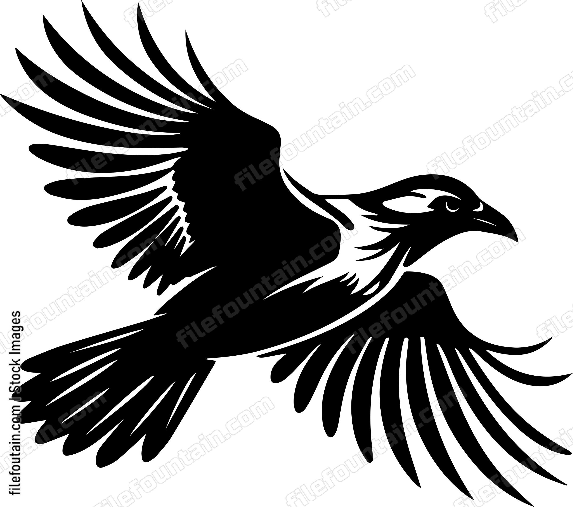 Flying Crow