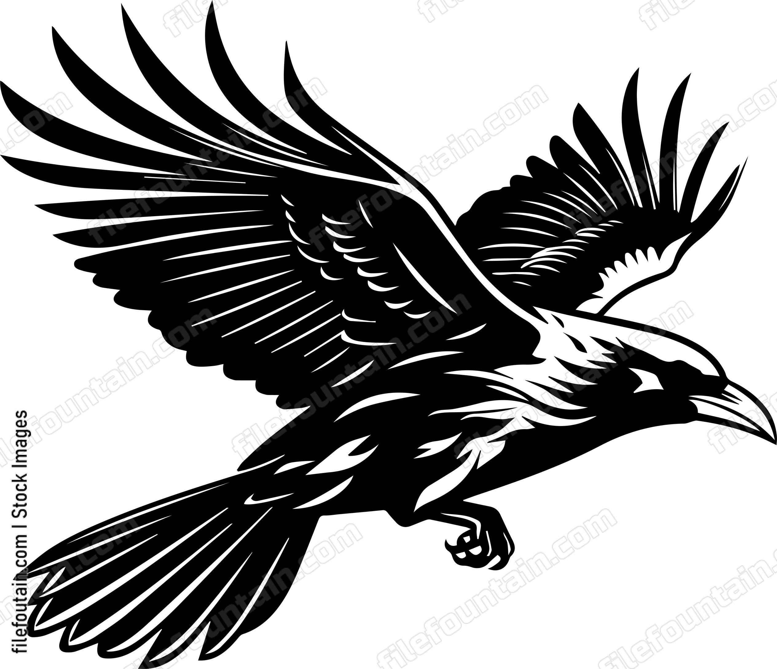 Flying Crow